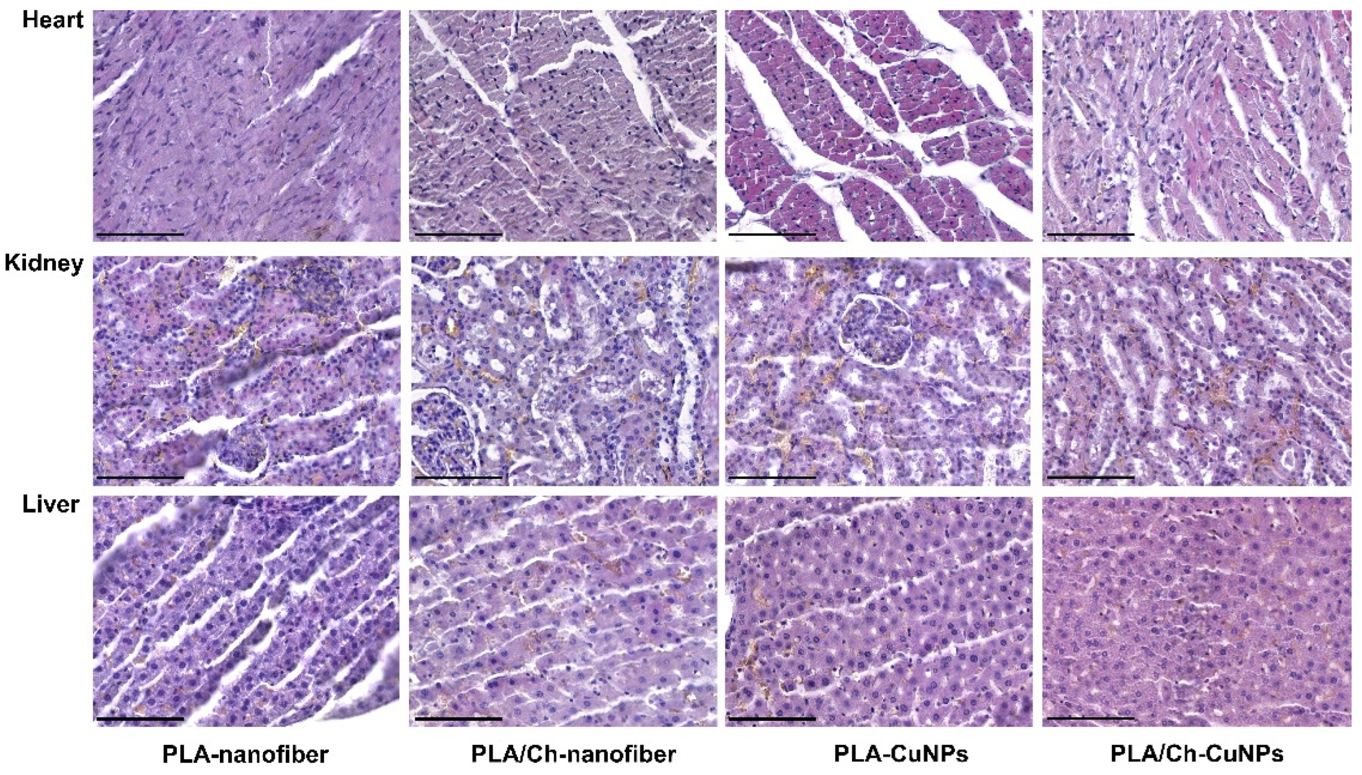 Polymers 16 02733 g0a4