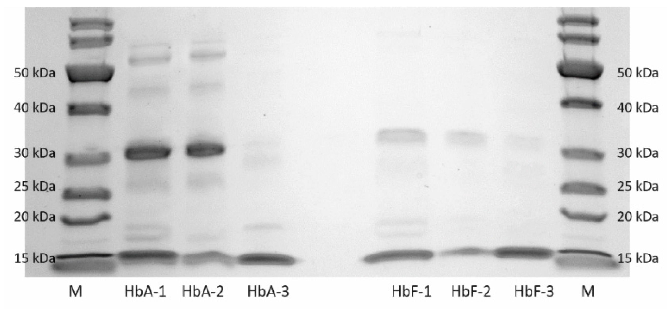 Polymers 16 02734 g006 Polymers 16 02734 g006