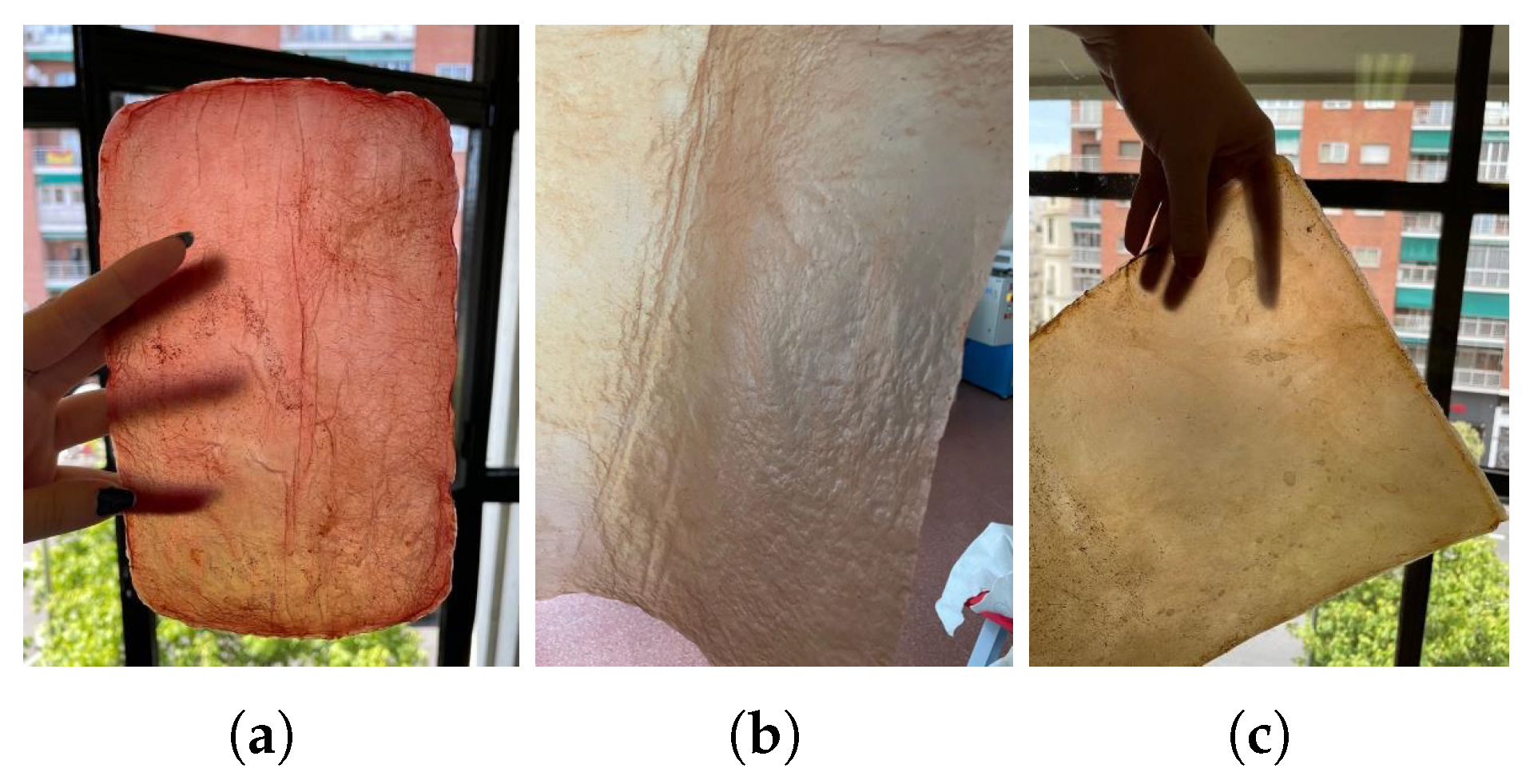 Polymers 16 02735 g010