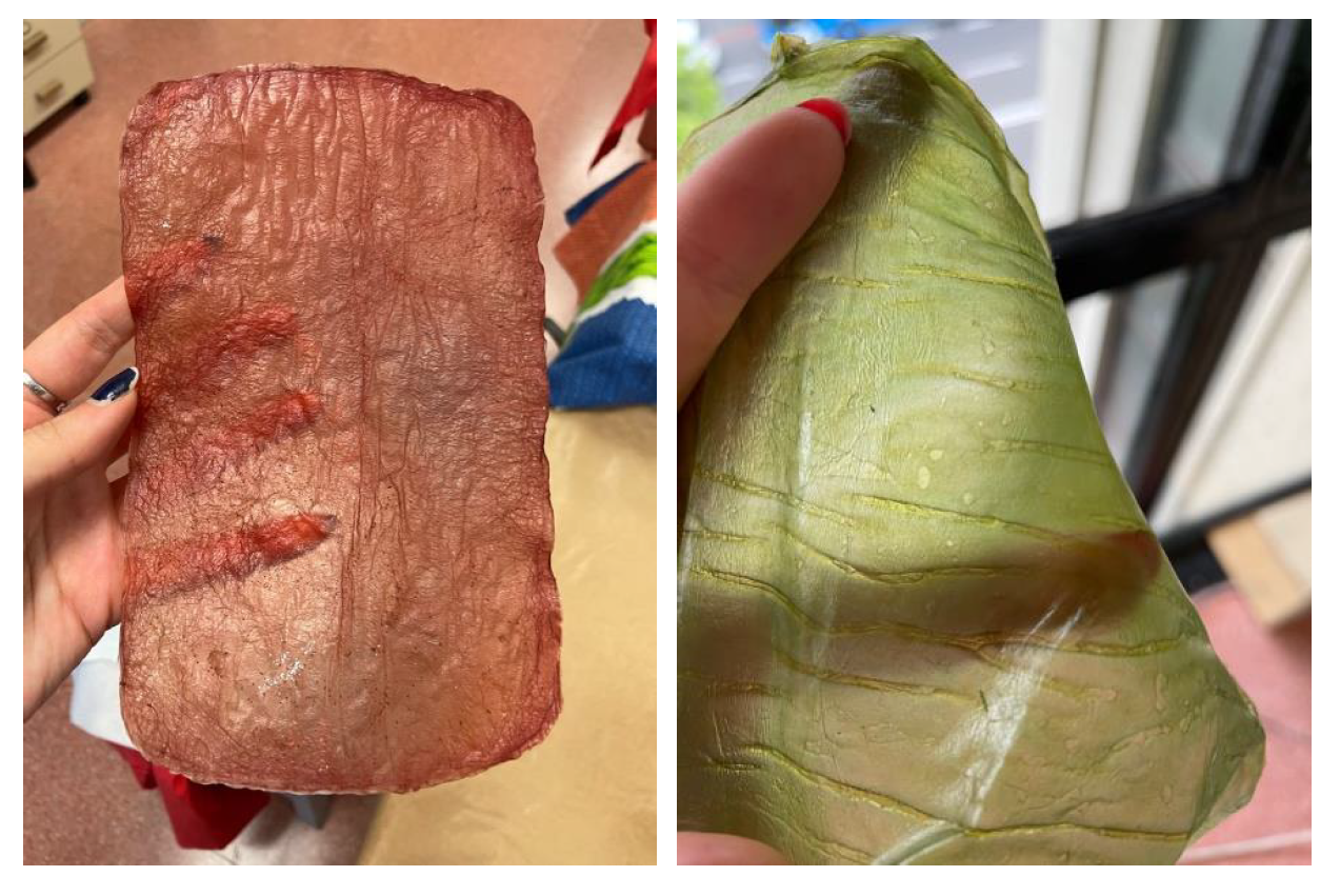 Polymers 16 02735 g012