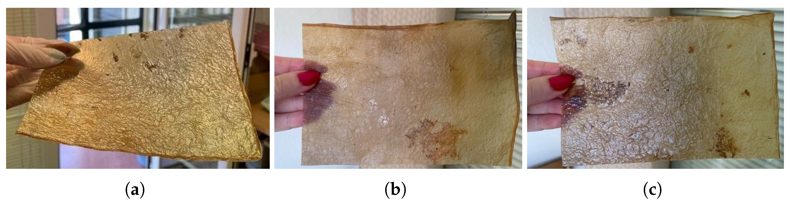 Polymers 16 02735 g018