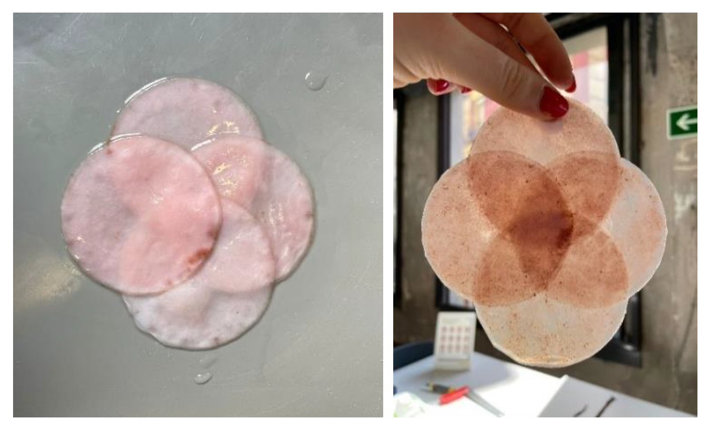 Polymers 16 02735 g019