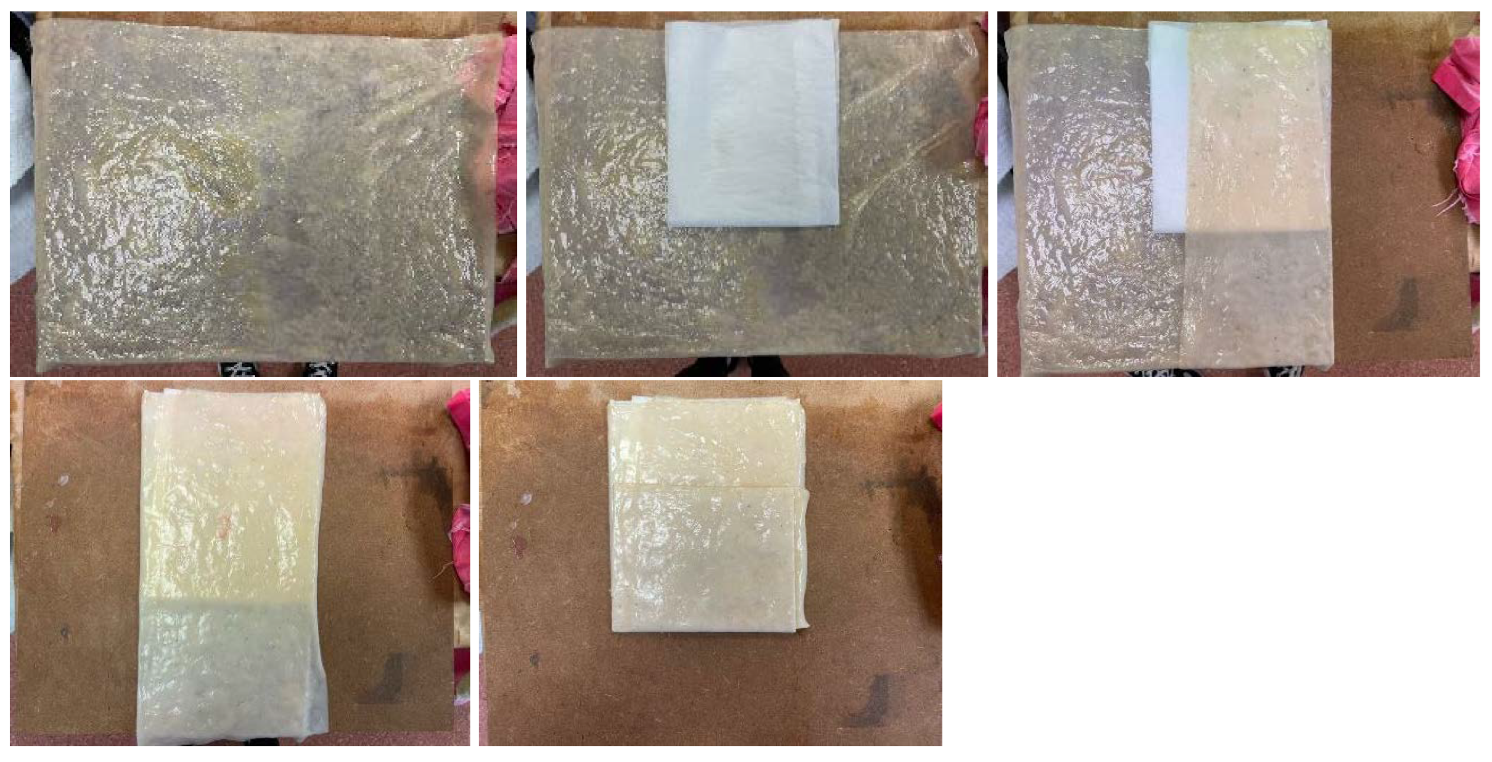 Polymers 16 02735 g023