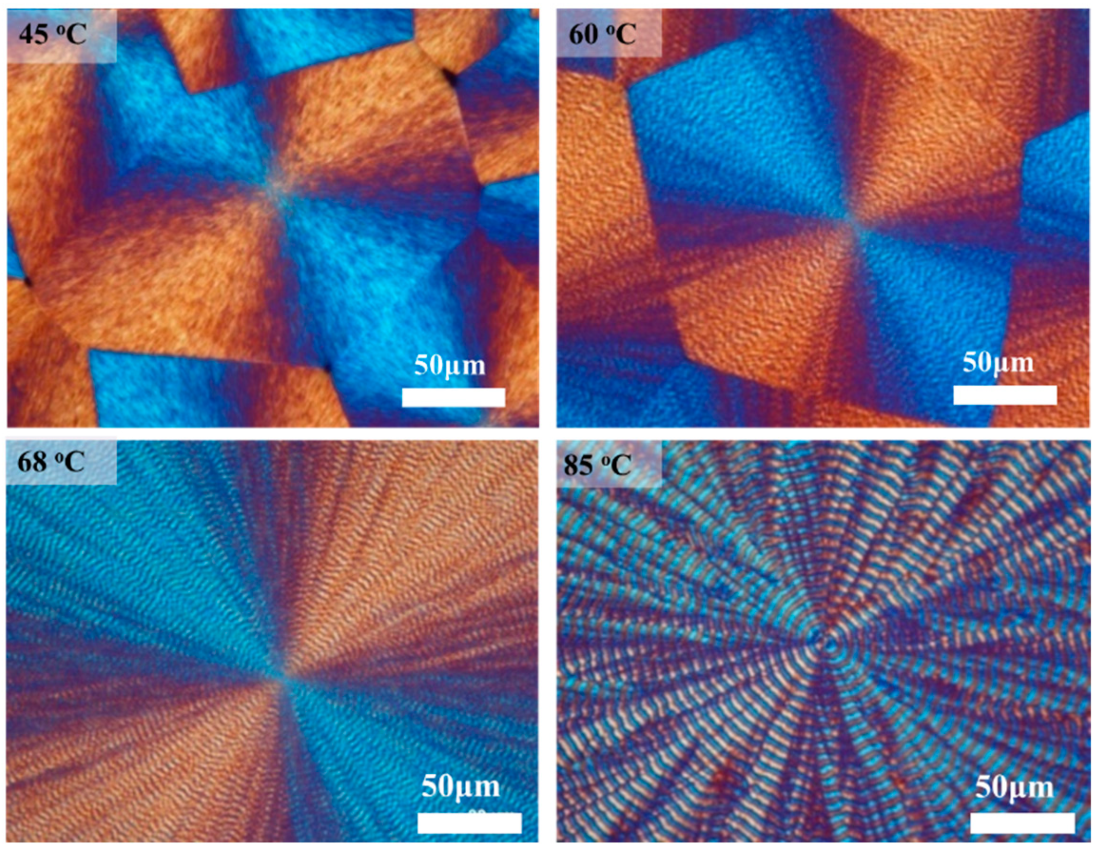 Polymers 16 02736 g001