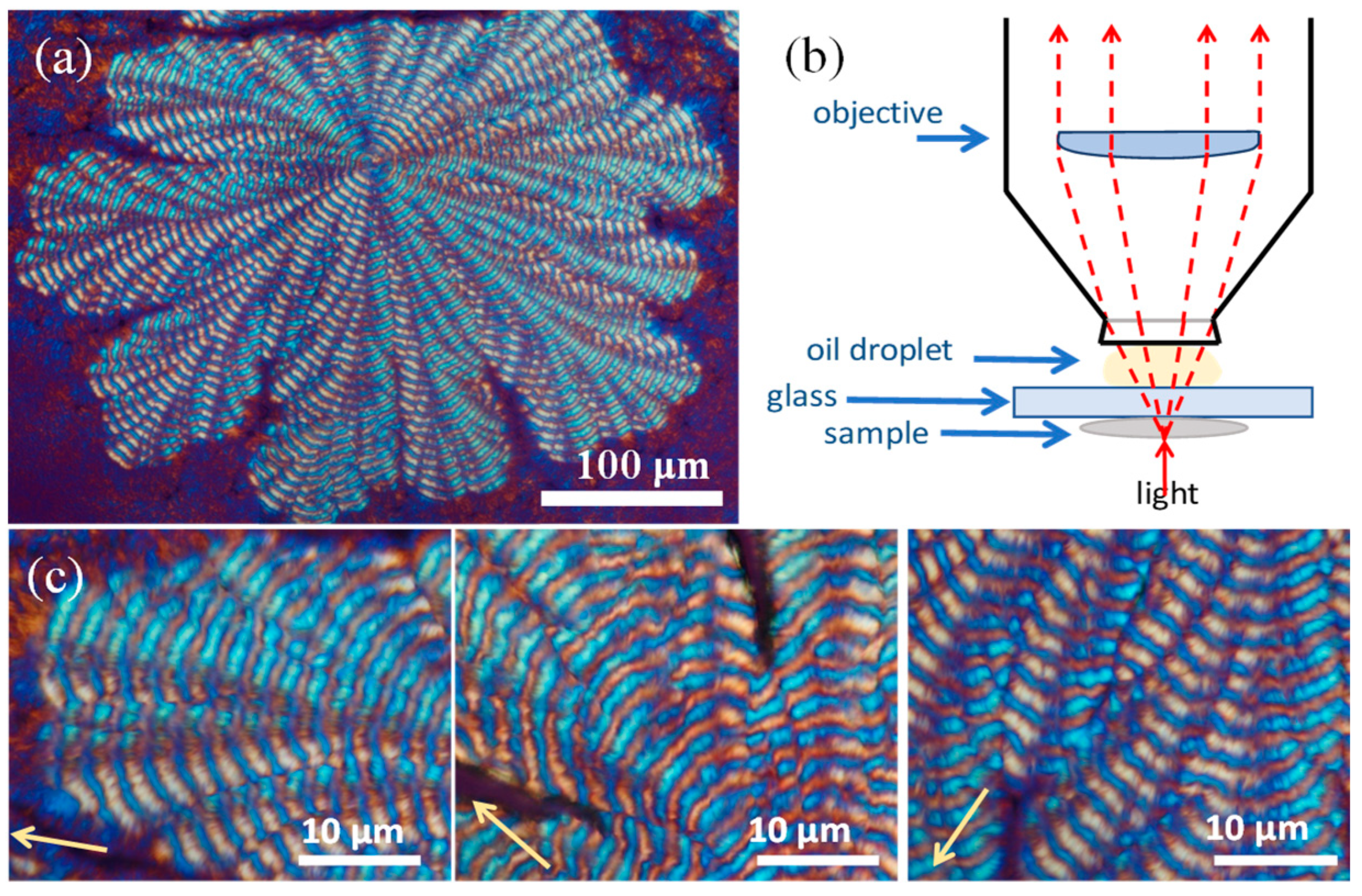 Polymers 16 02736 g003