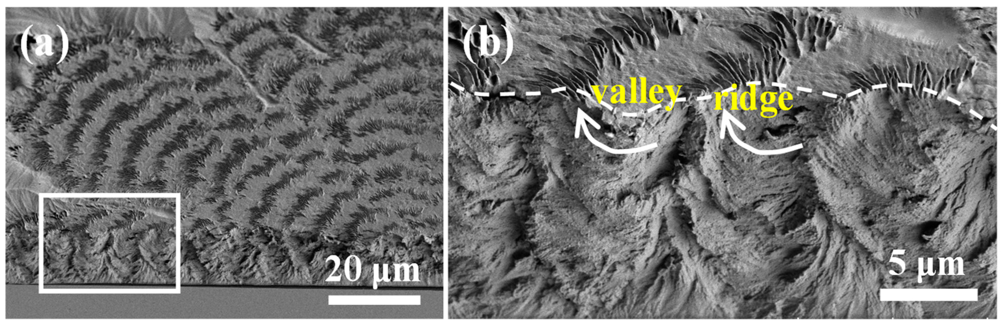 Polymers 16 02736 g007