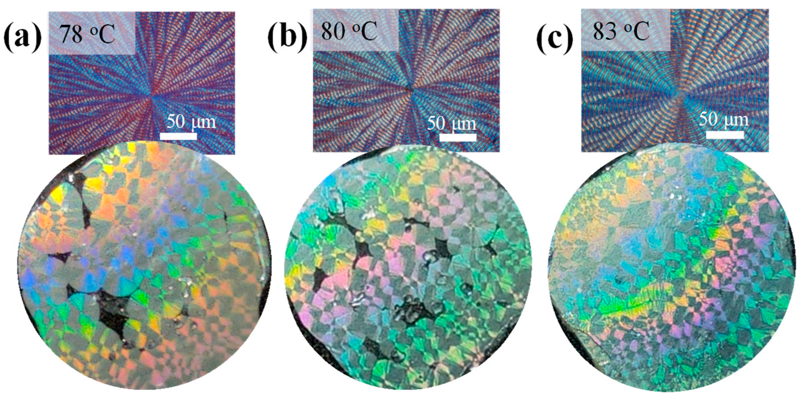 Polymers 16 02736 g012