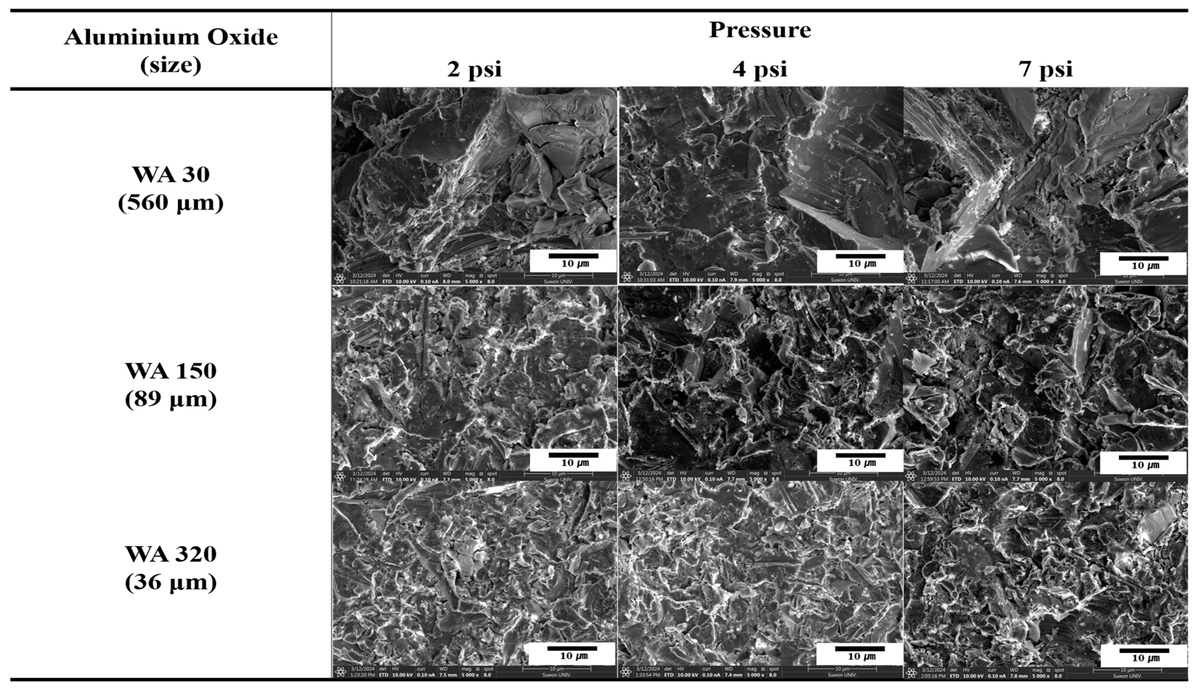 Polymers 16 02737 g002