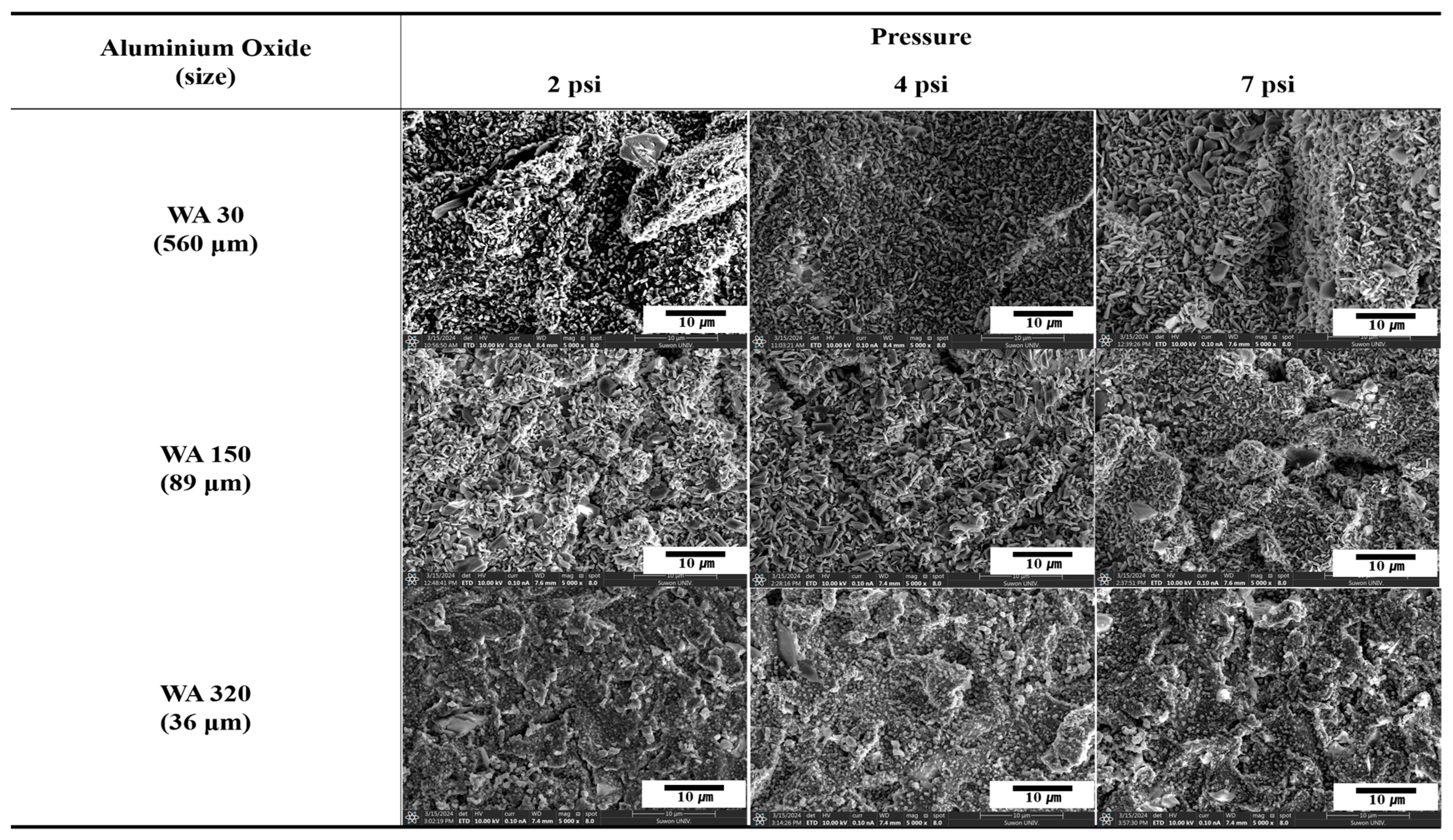 Polymers 16 02737 g003