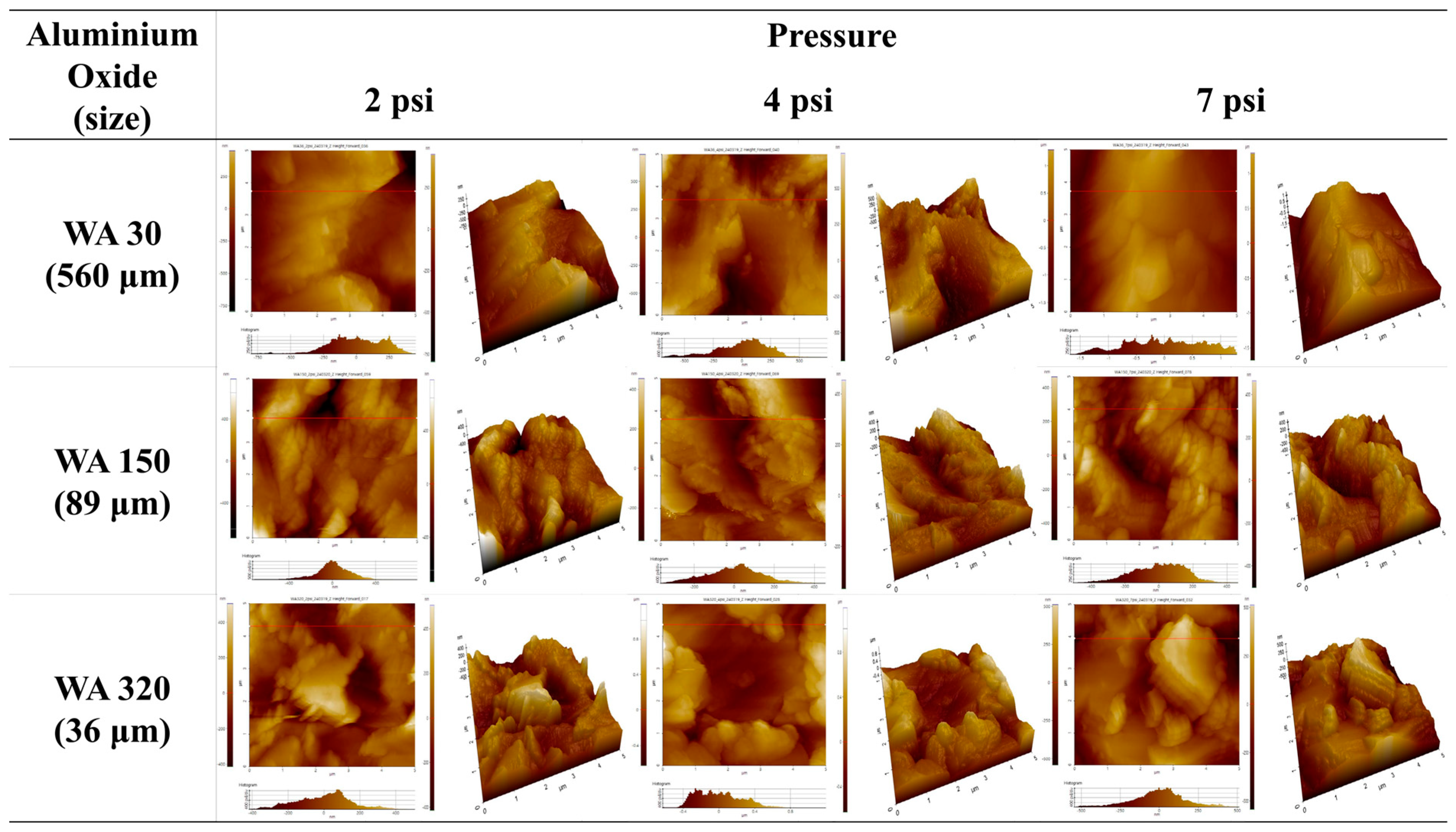 Polymers 16 02737 g005