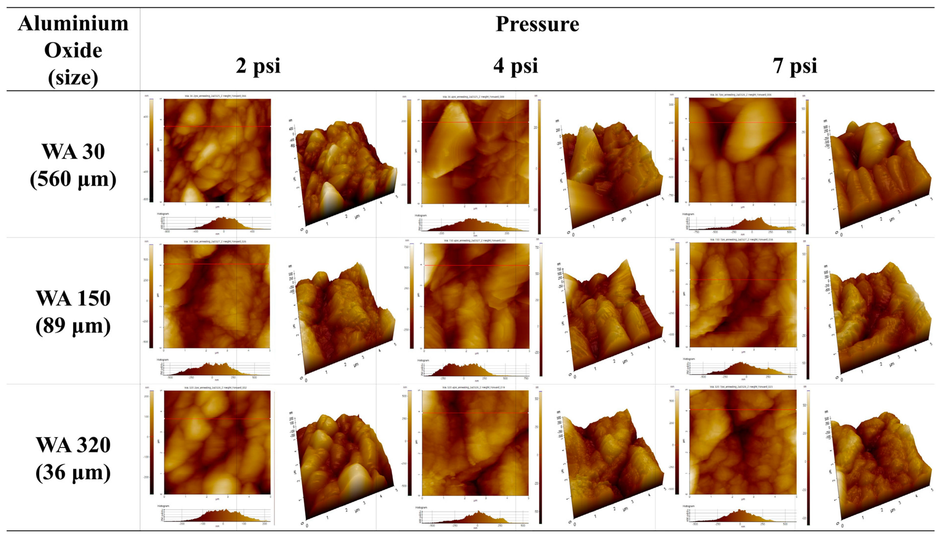 Polymers 16 02737 g006