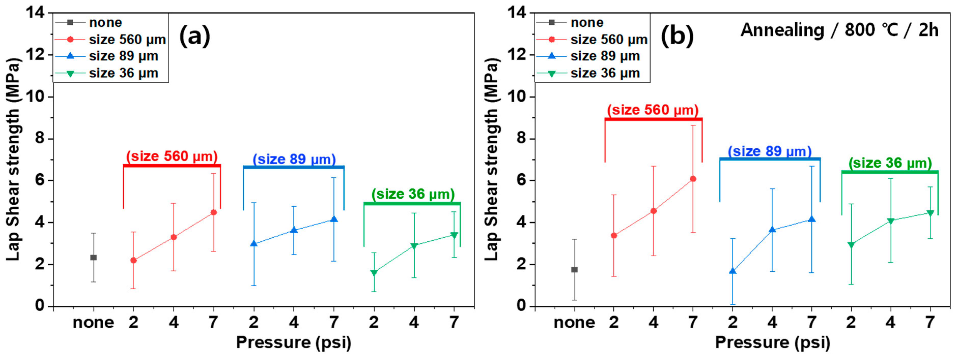 Polymers 16 02737 g013