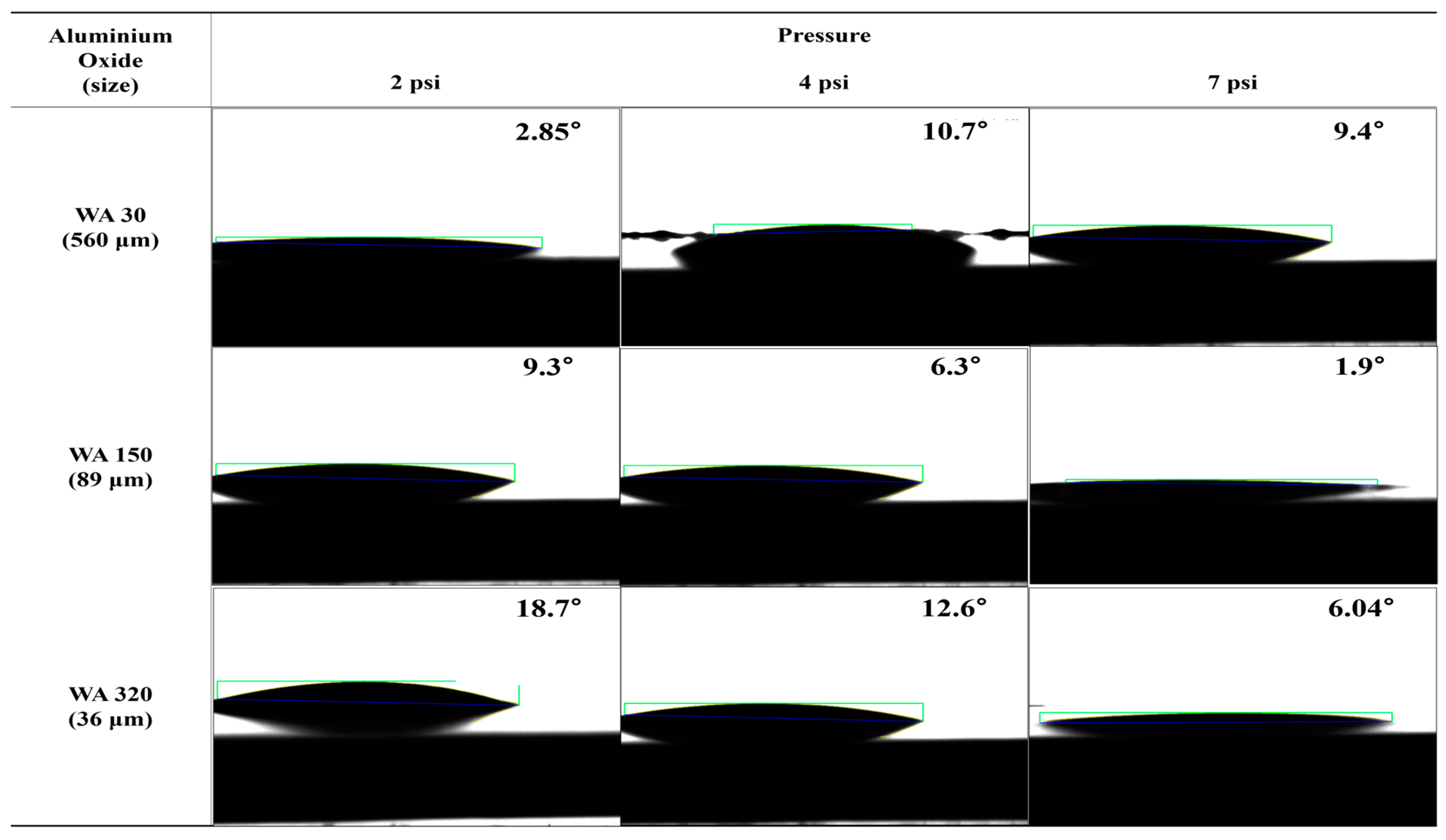 Polymers 16 02737 g019