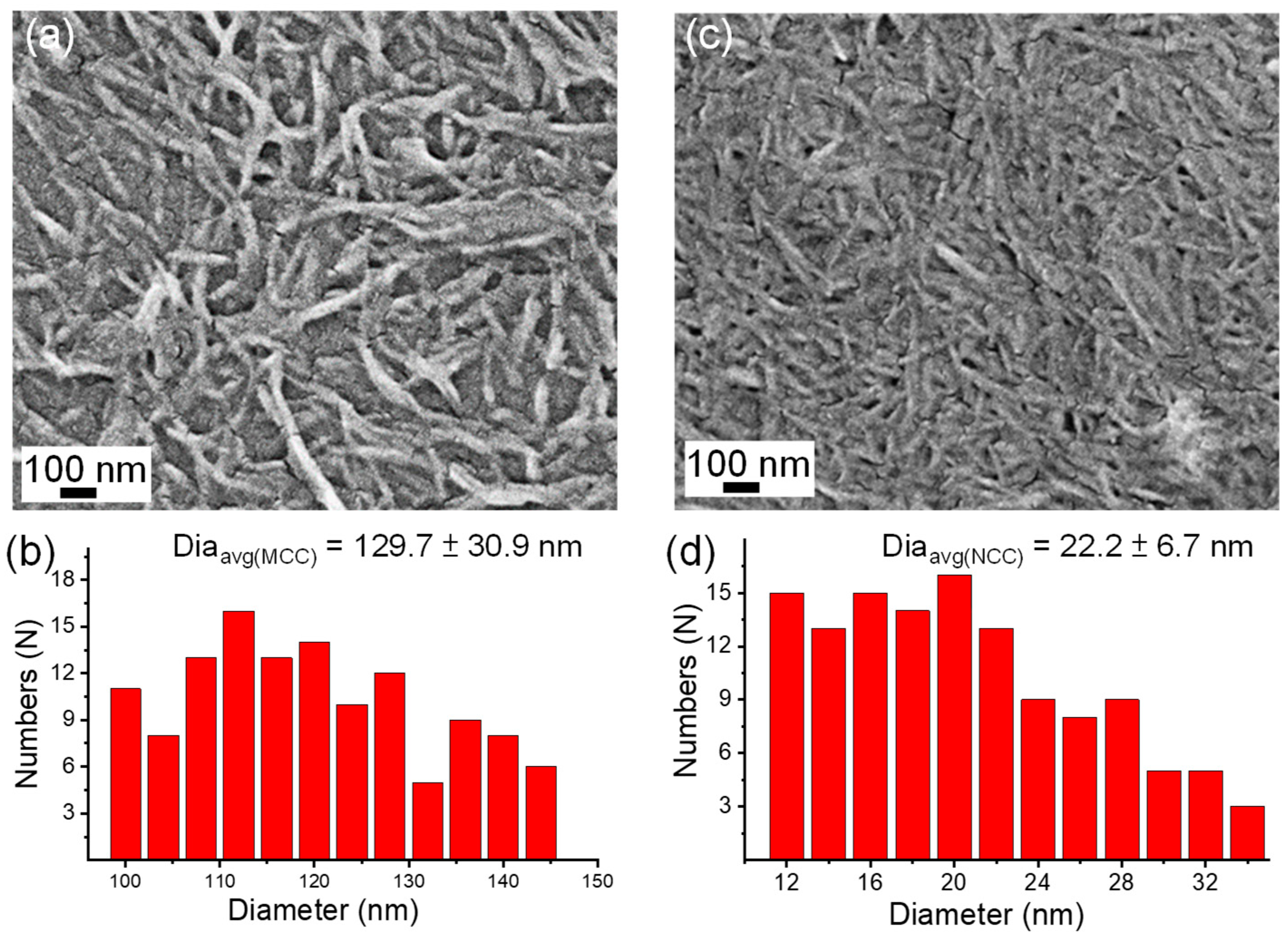 Polymers 16 02738 g001