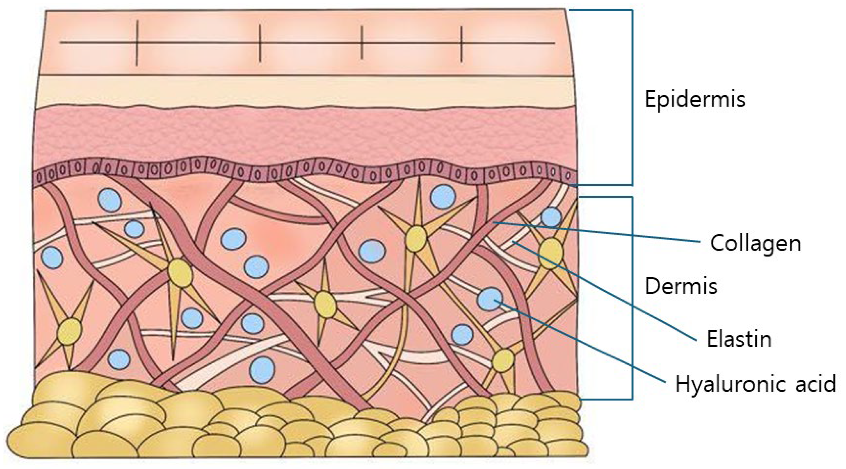 Polymers 16 02739 g001