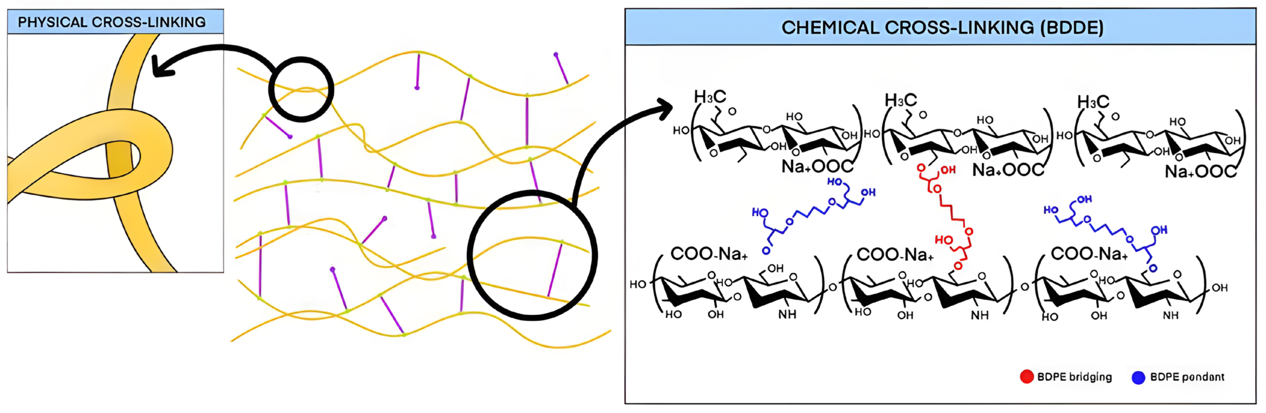 Polymers 16 02739 g002