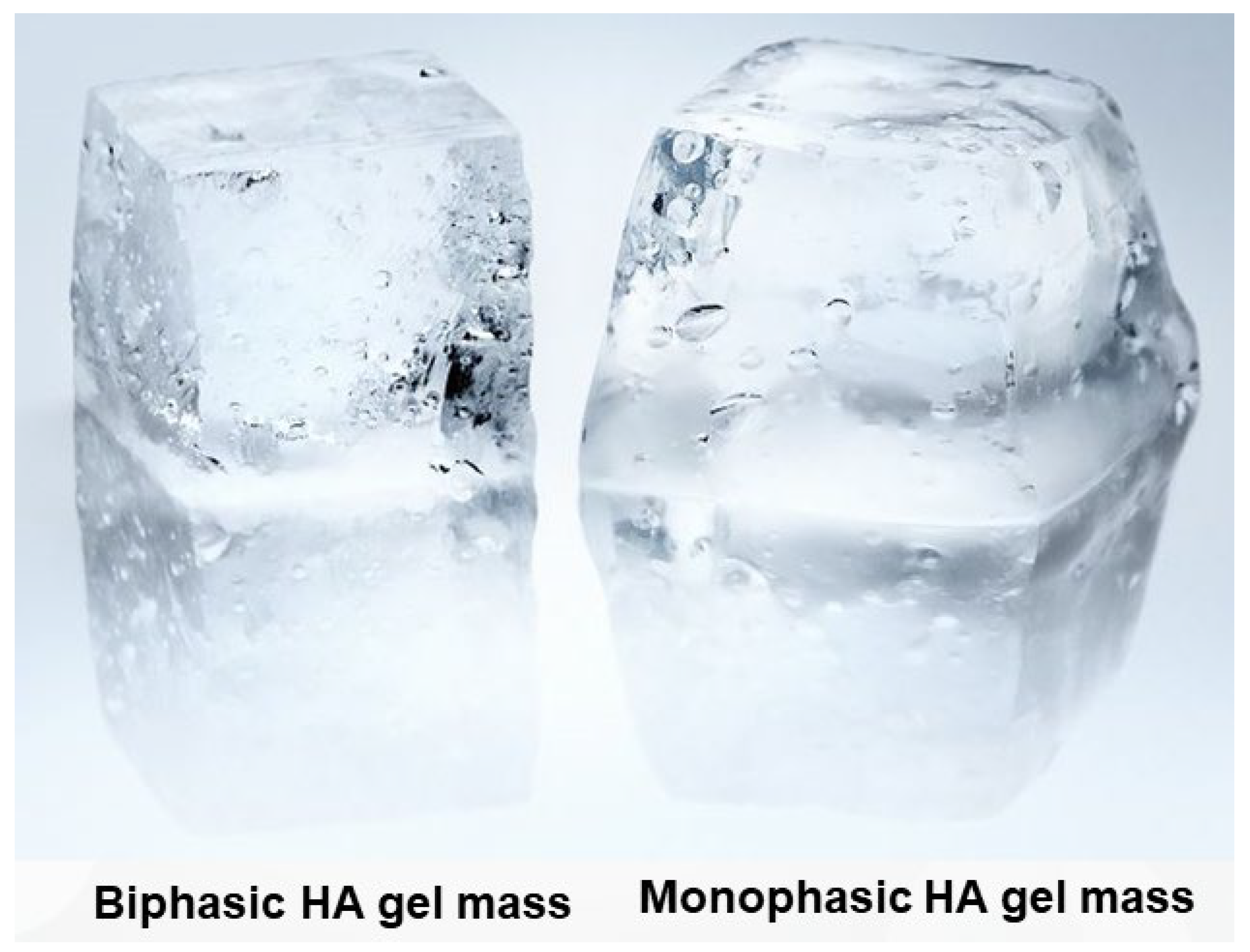 Polymers 16 02739 g004