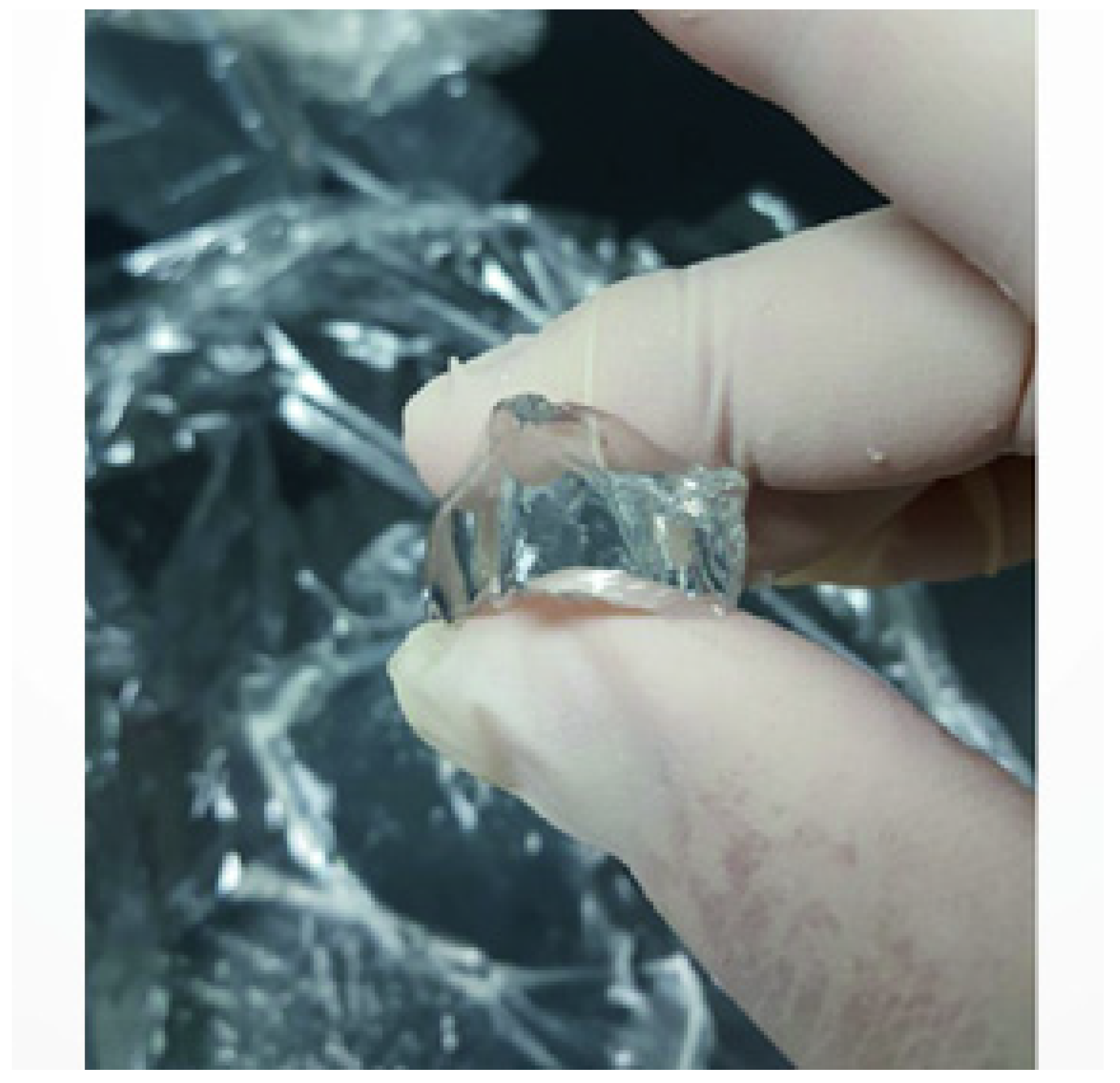 Polymers 16 02739 g005