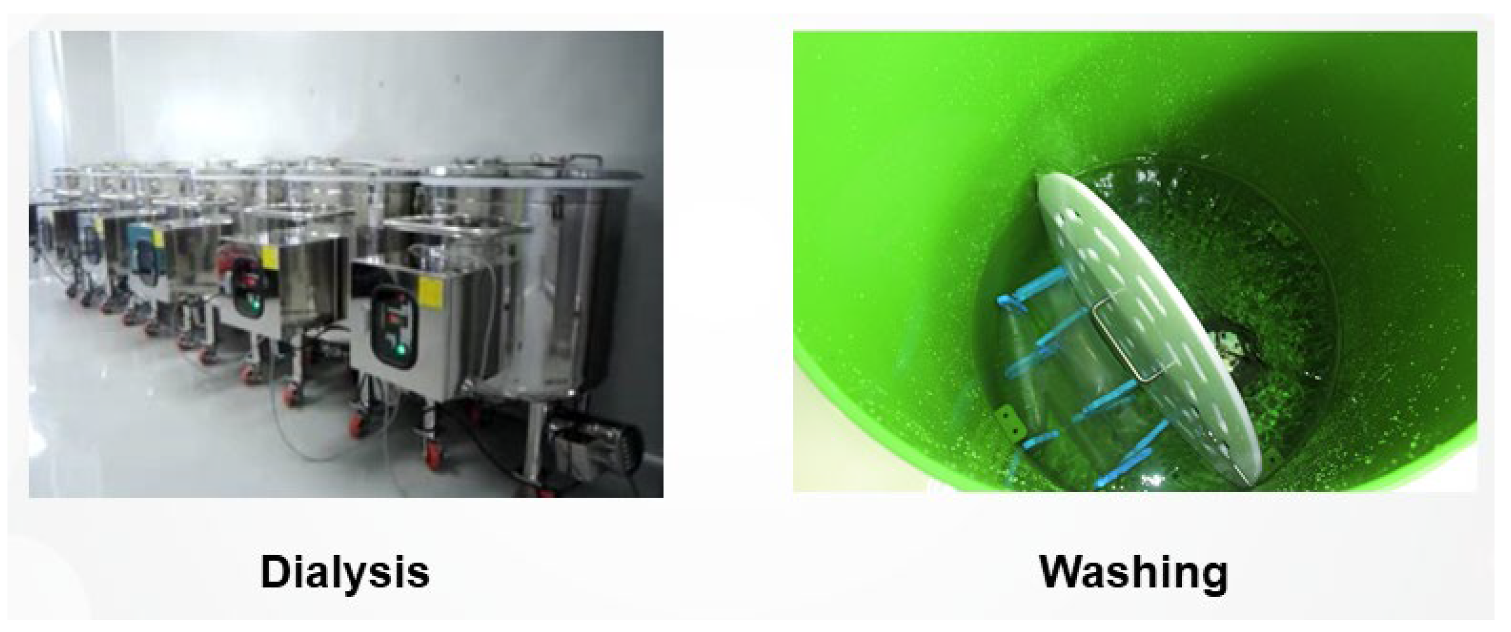 Polymers 16 02739 g006