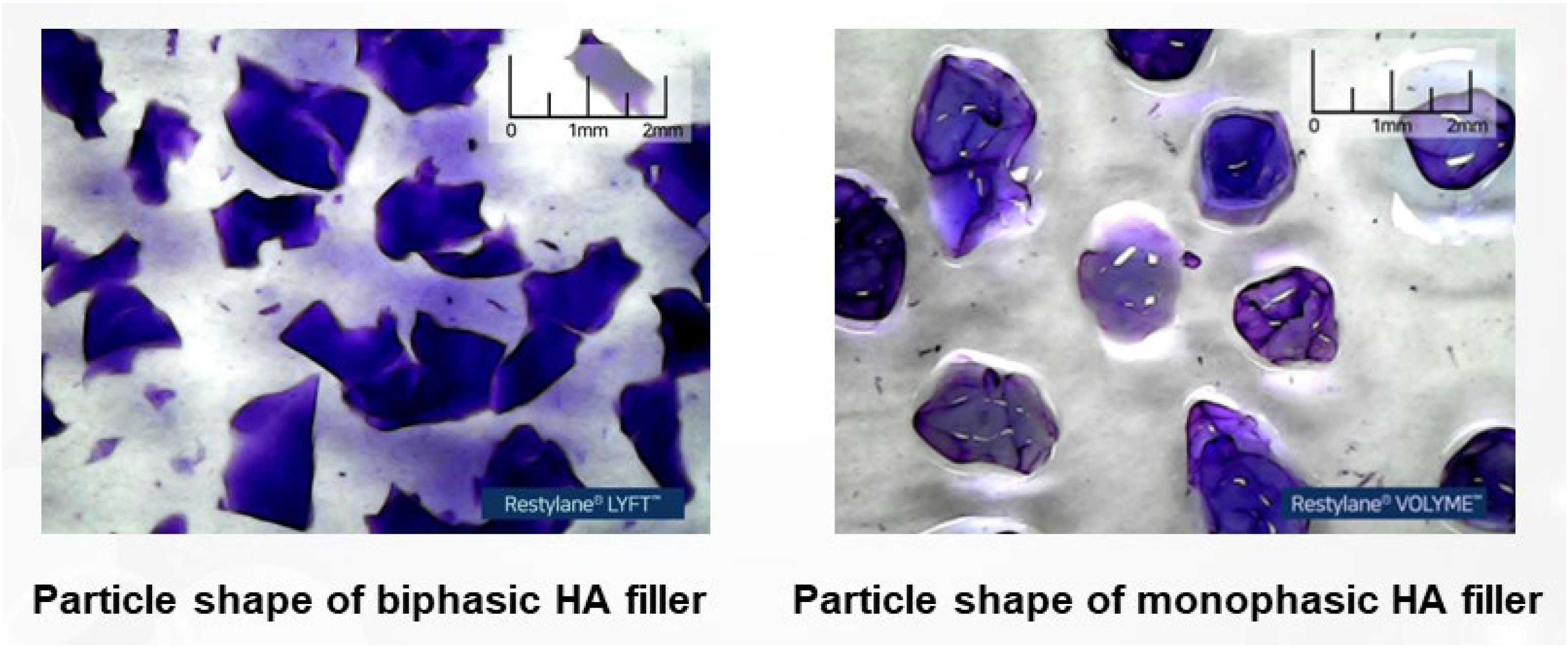 Polymers 16 02739 g008