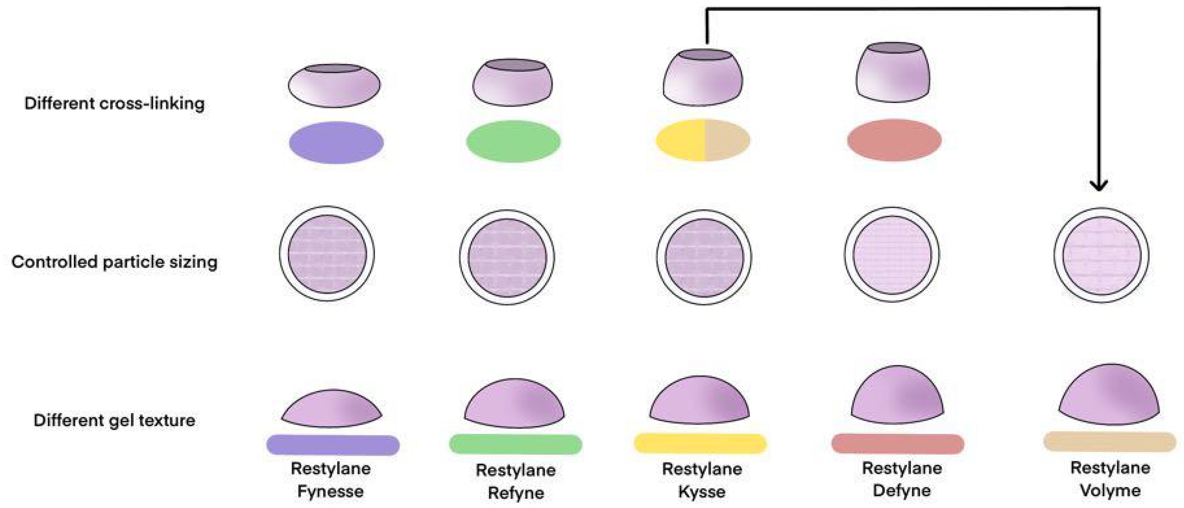 Polymers 16 02739 g010
