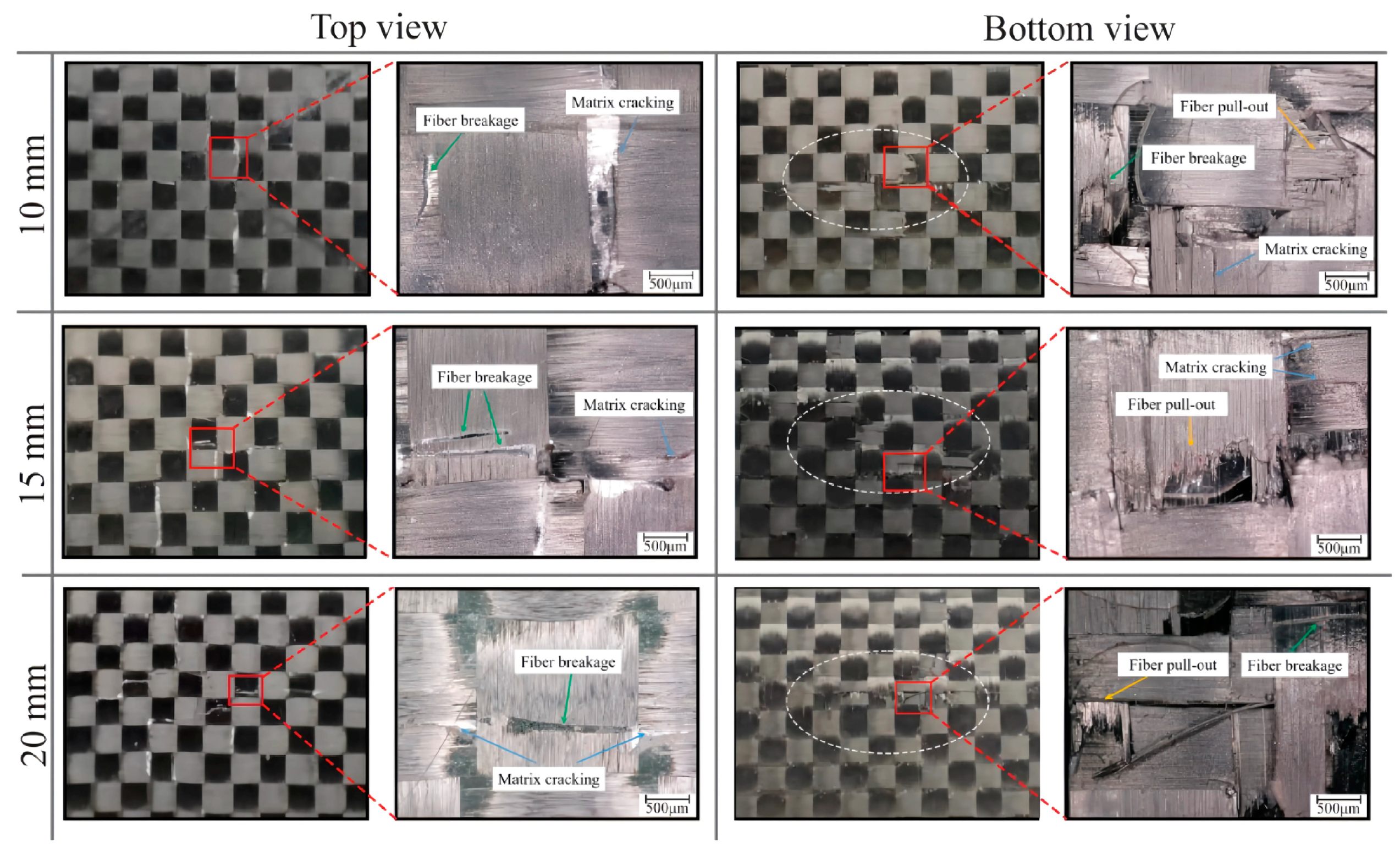 Polymers 16 02740 g013