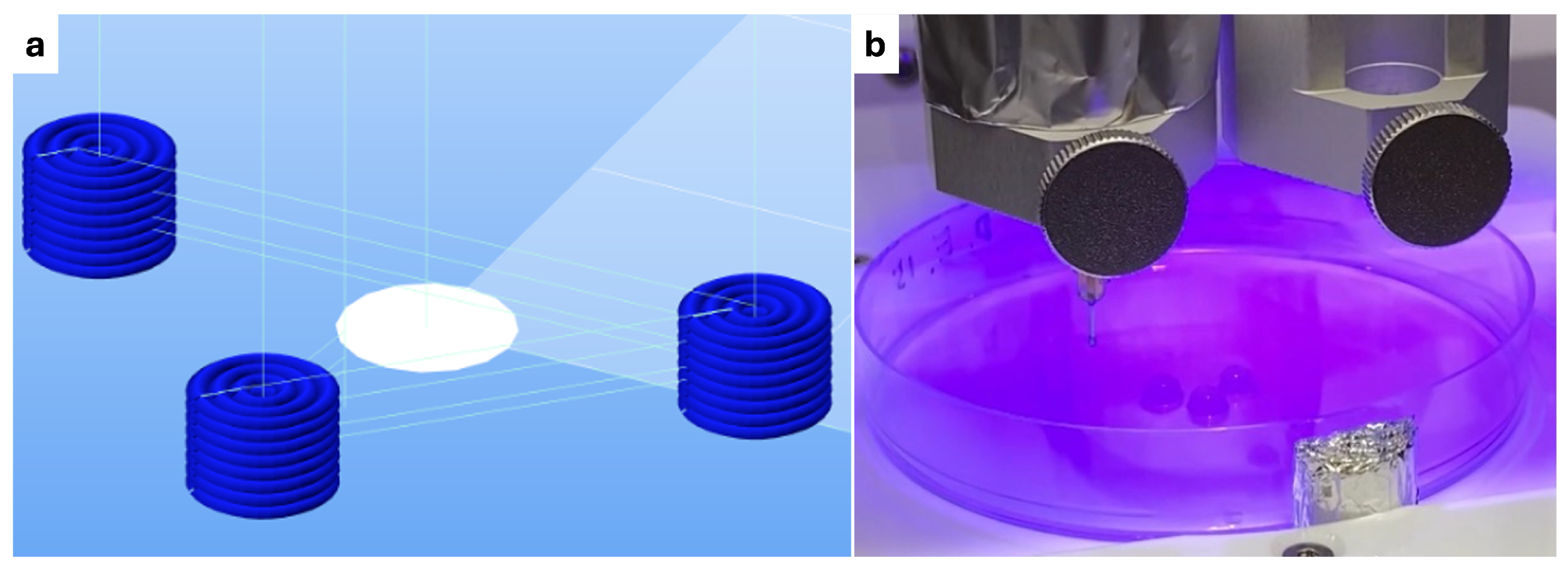 Polymers 16 02741 g001