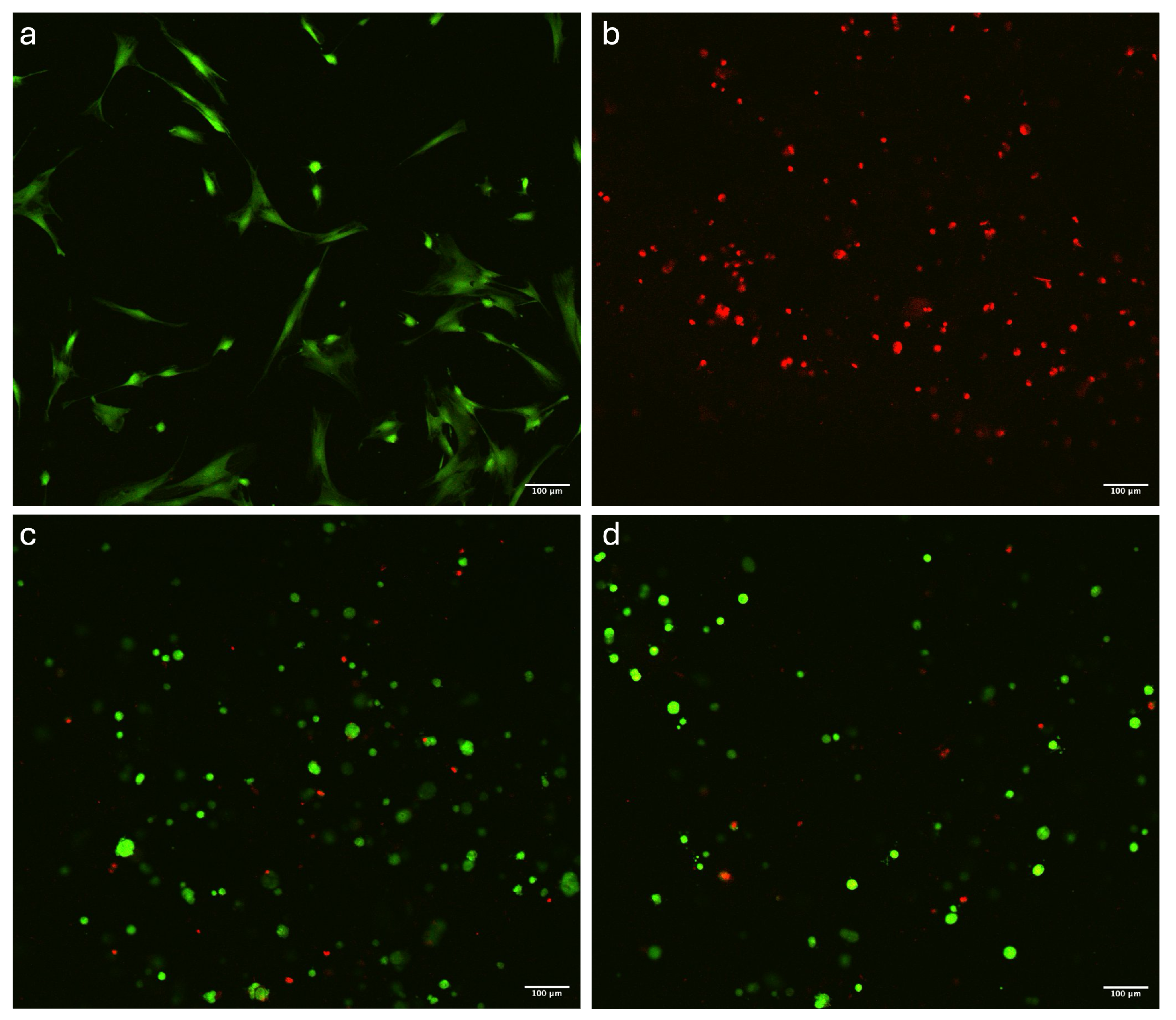 Polymers 16 02741 g005a
