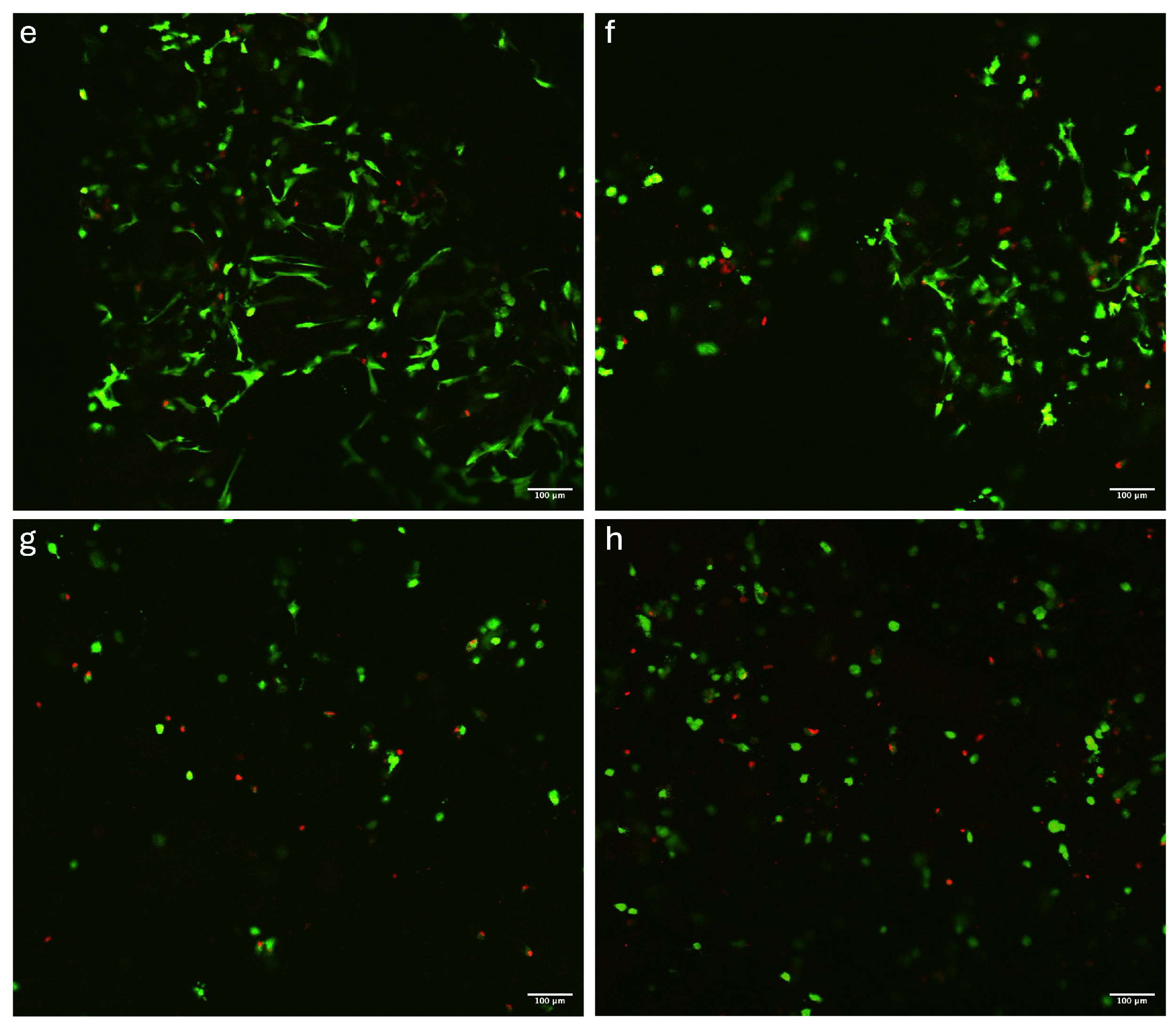 Polymers 16 02741 g005b