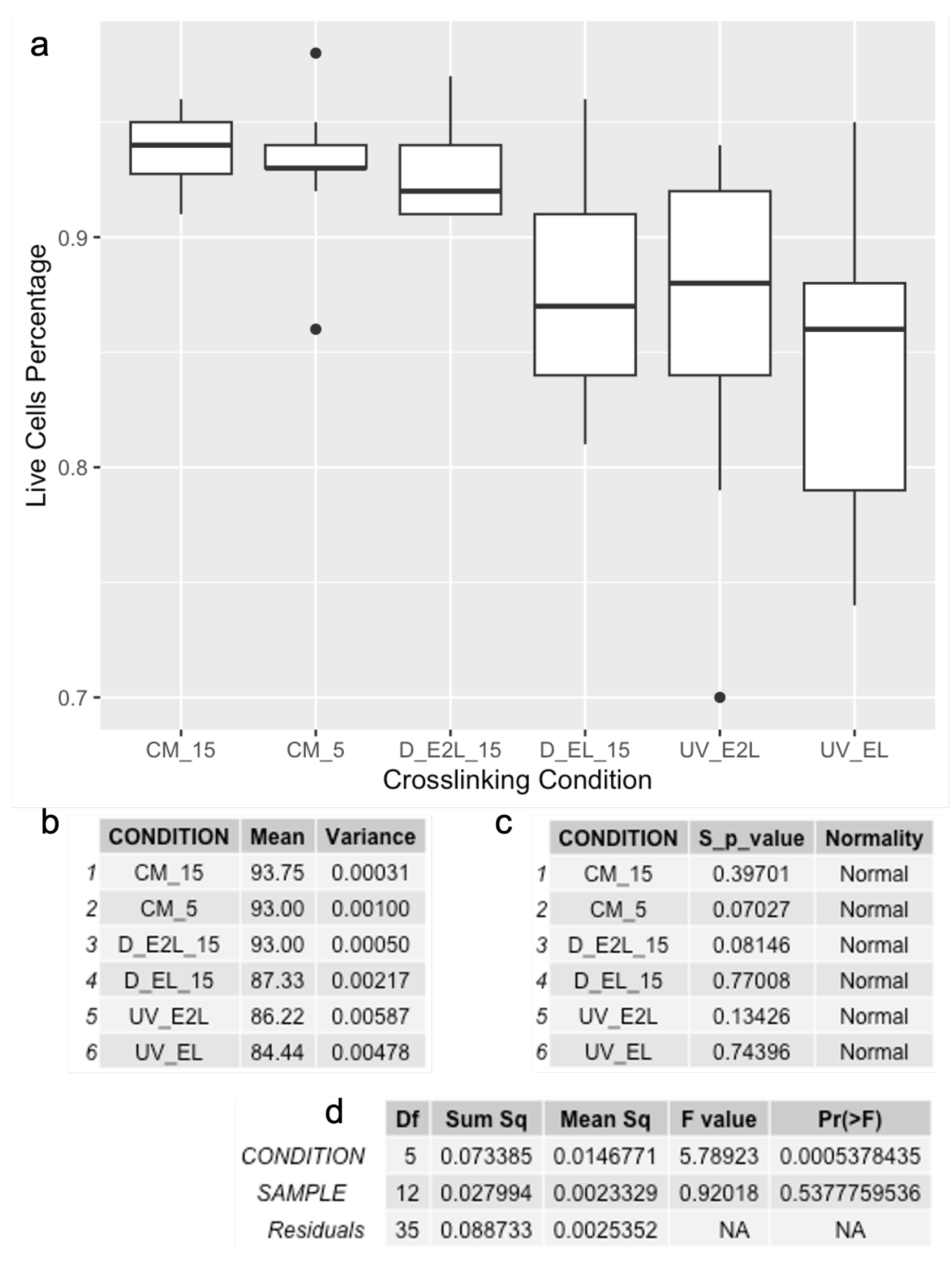 Polymers 16 02741 g006