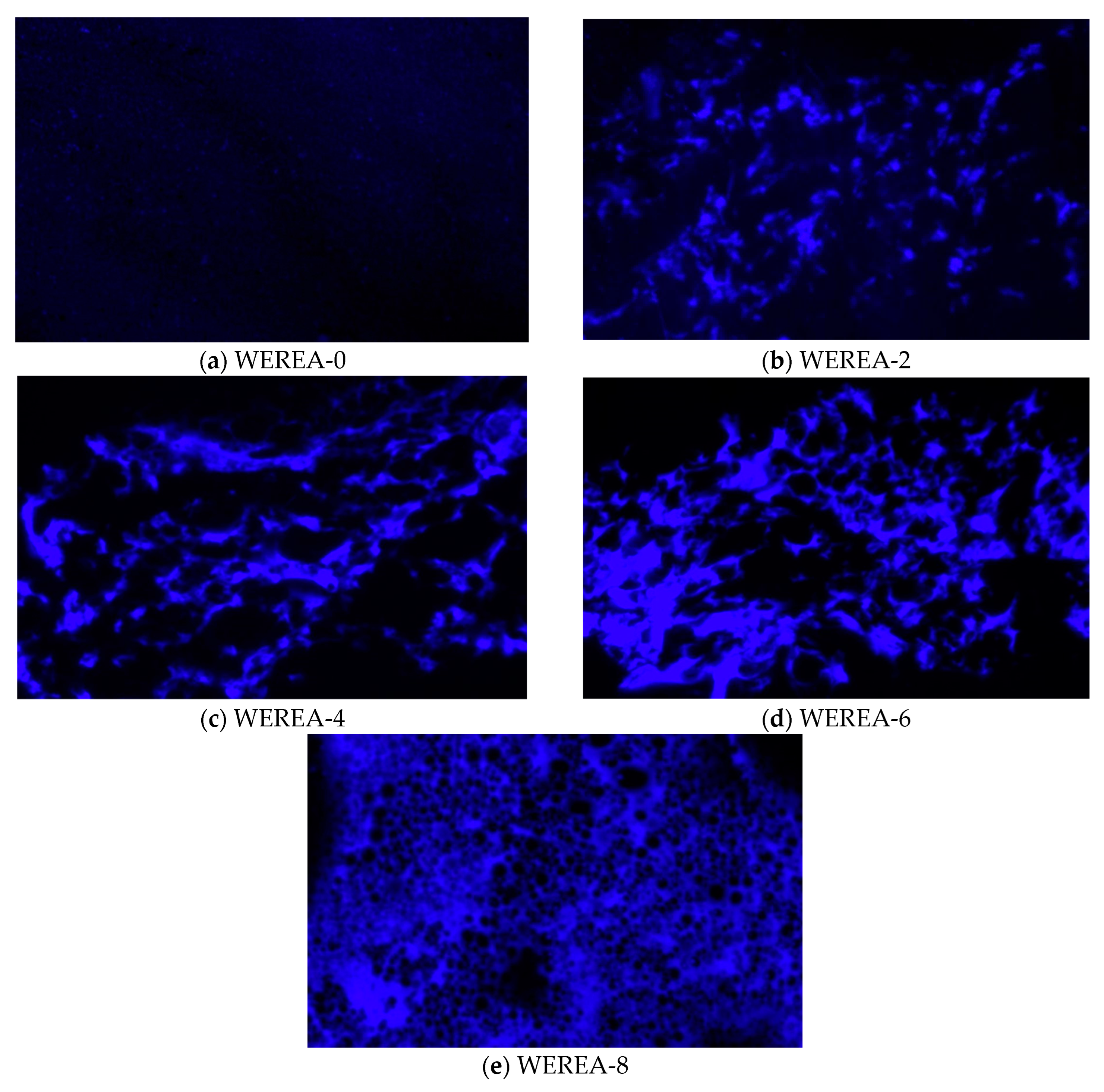 Polymers 16 02743 g004
