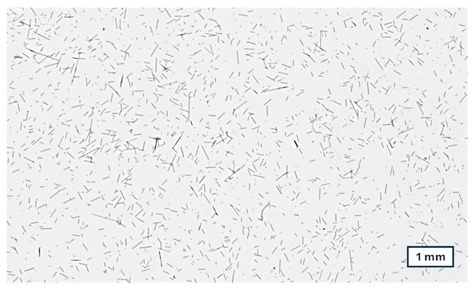 Polymers 16 02745 g004