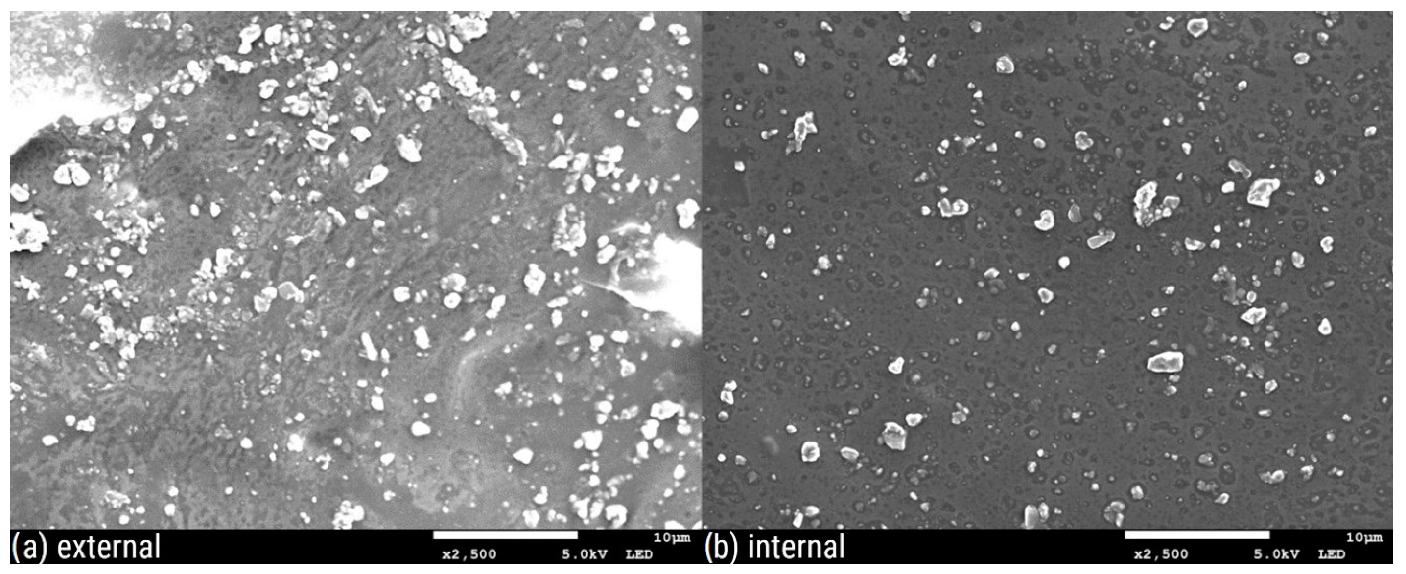Polymers 16 02746 g003