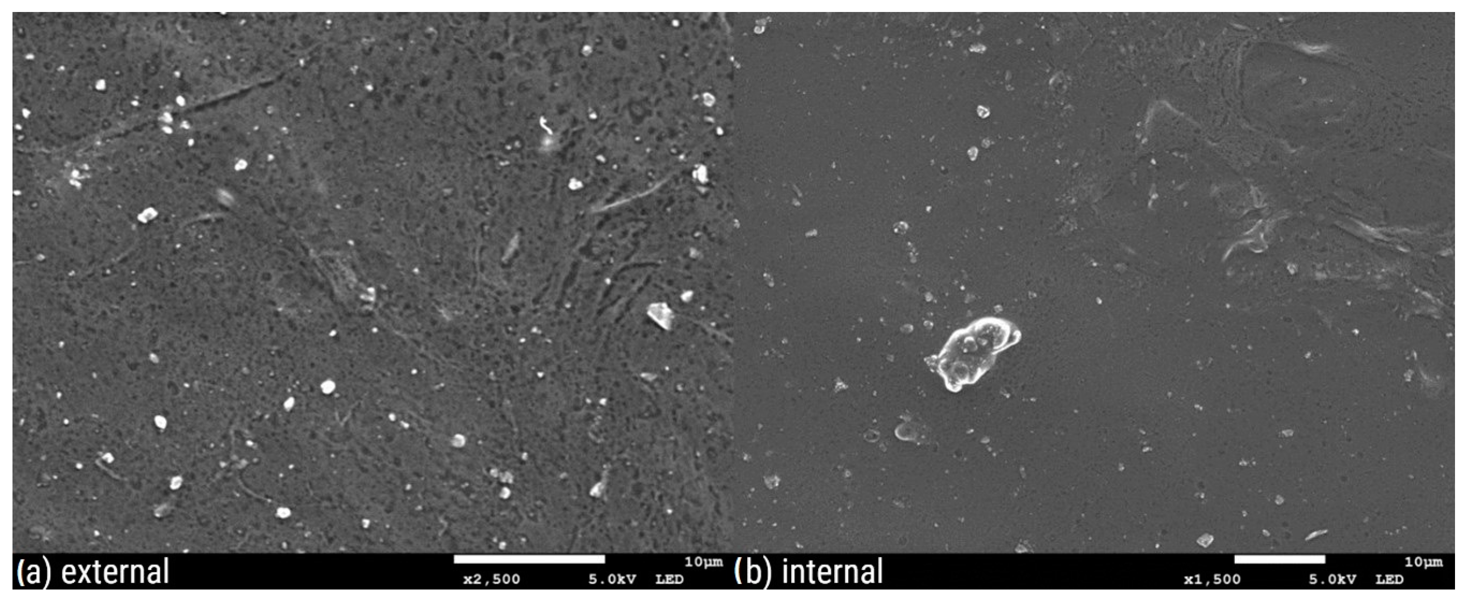 Polymers 16 02746 g005