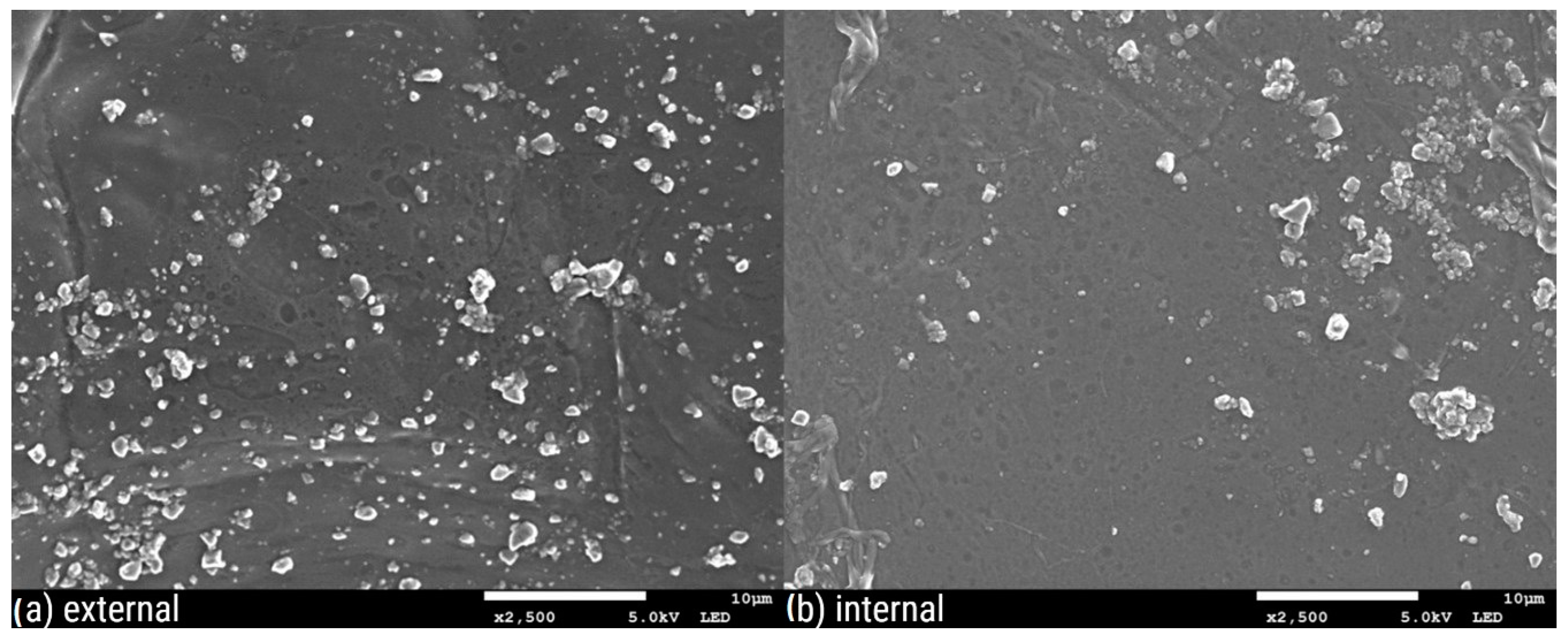 Polymers 16 02746 g006