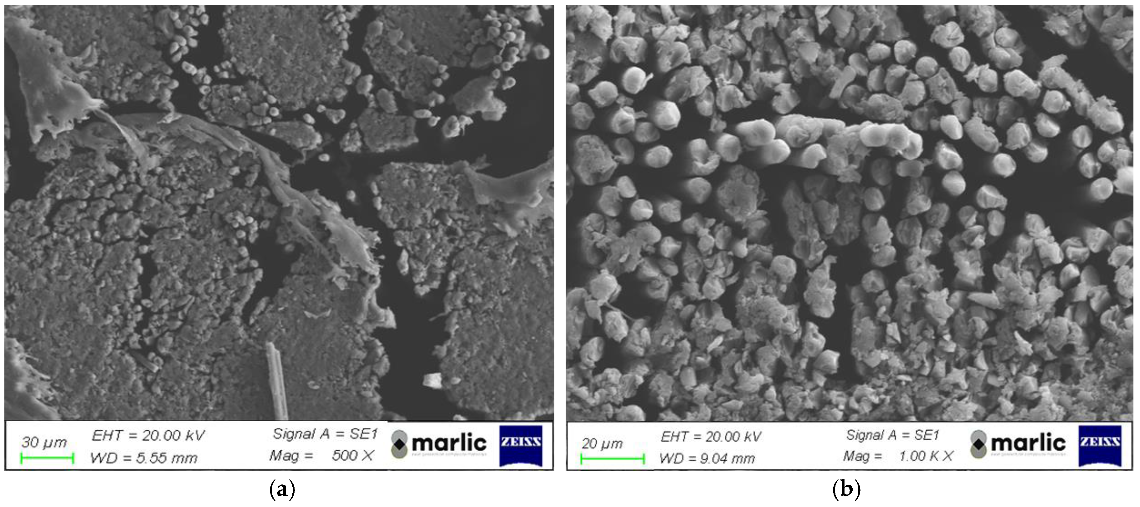 Polymers 16 02747 g012