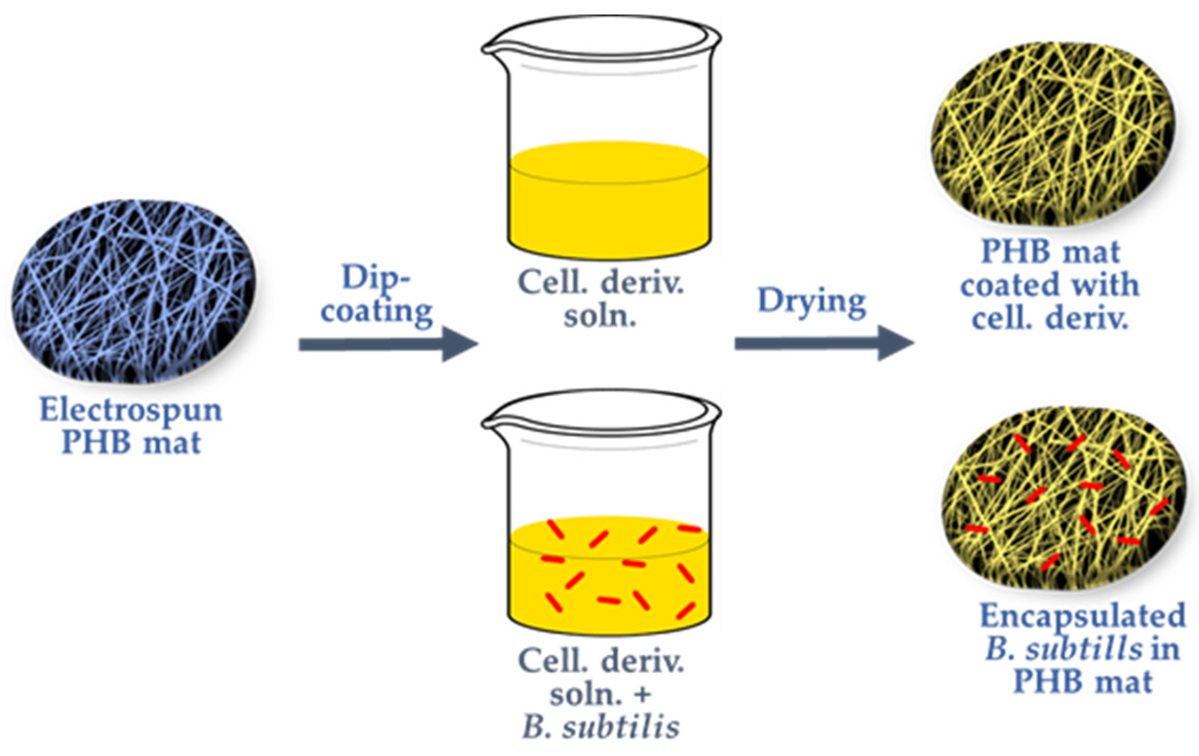 Polymers 16 02749 sch001