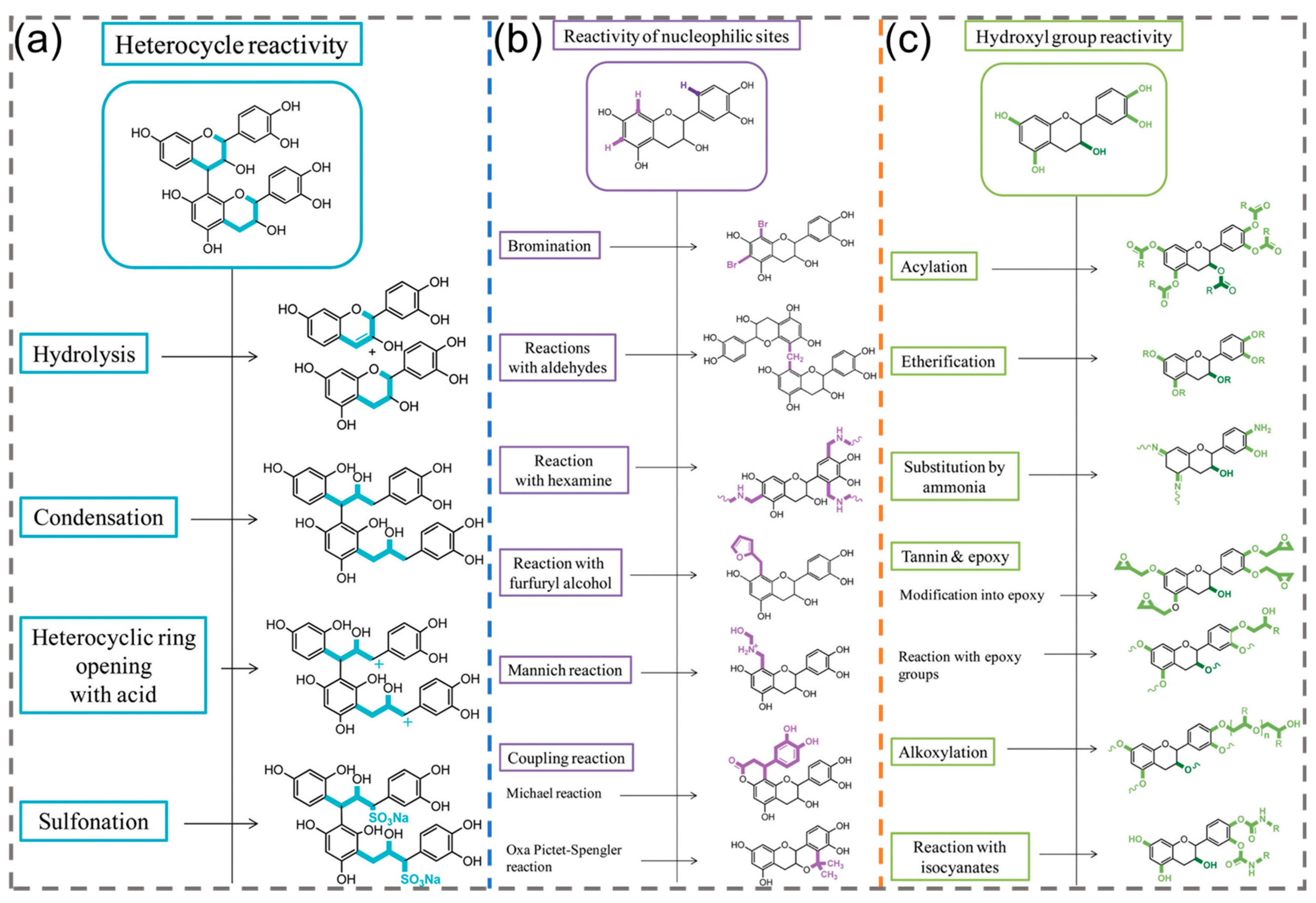 Polymers 16 02752 g003