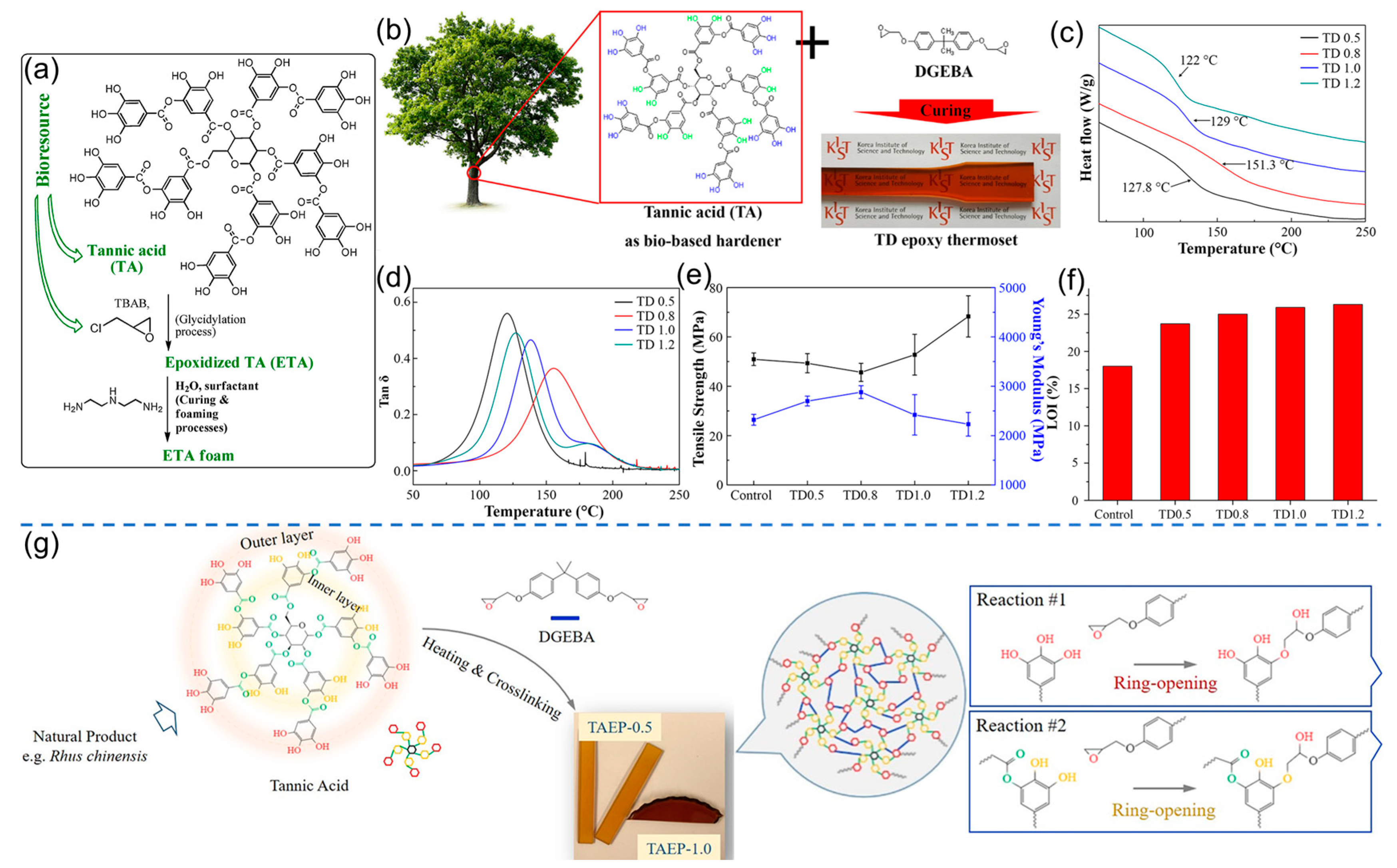 Polymers 16 02752 g007