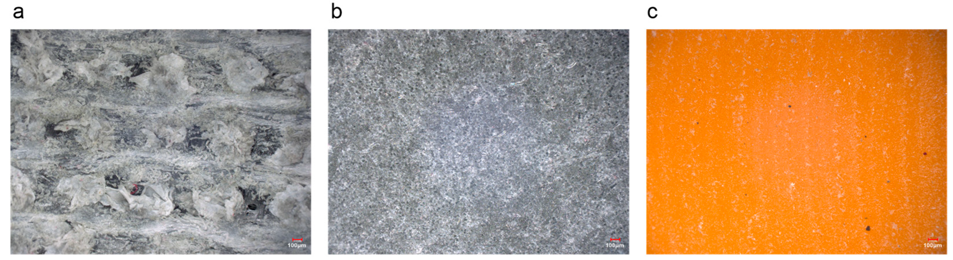 Polymers 16 02753 g008