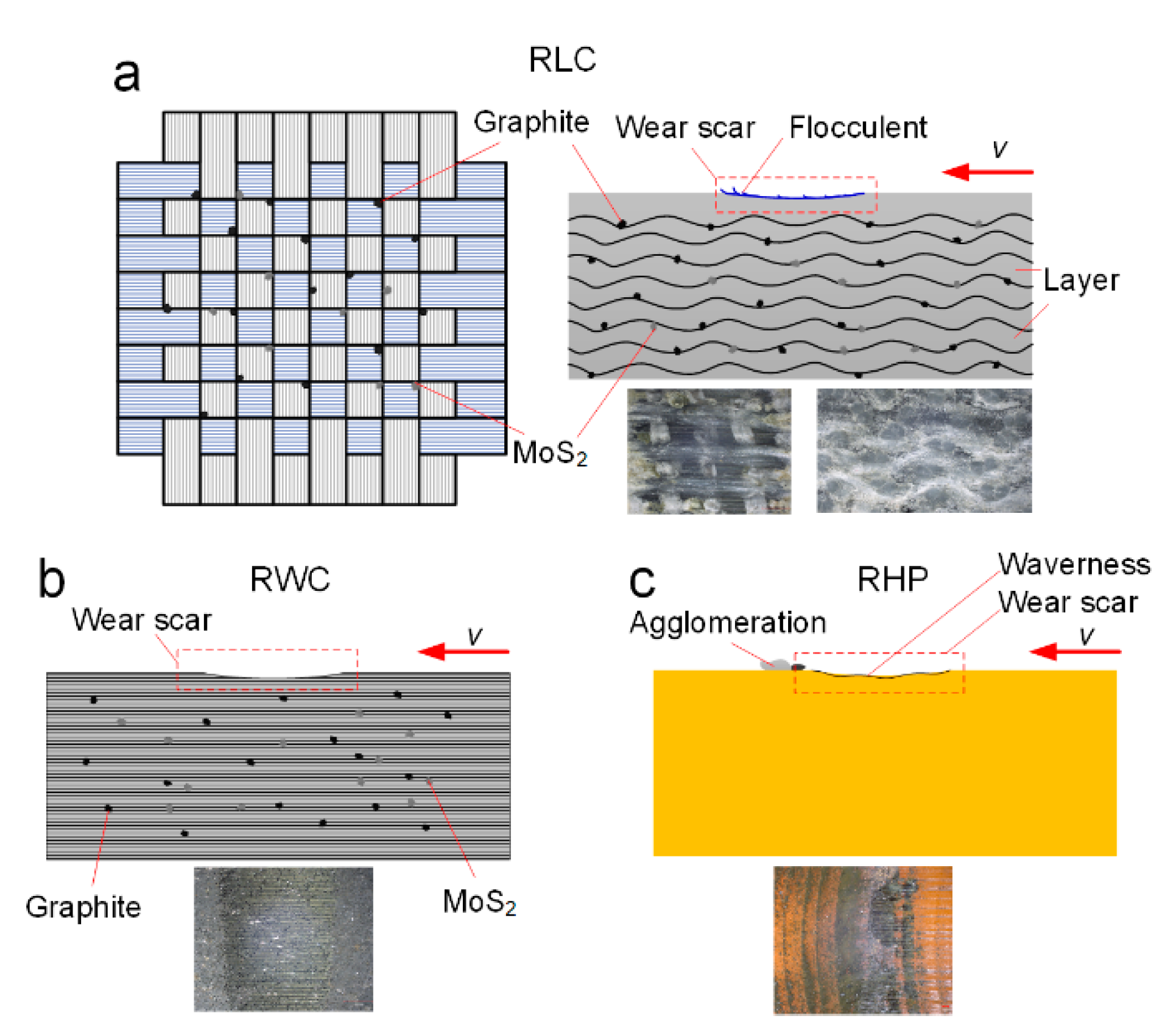 Polymers 16 02753 g012