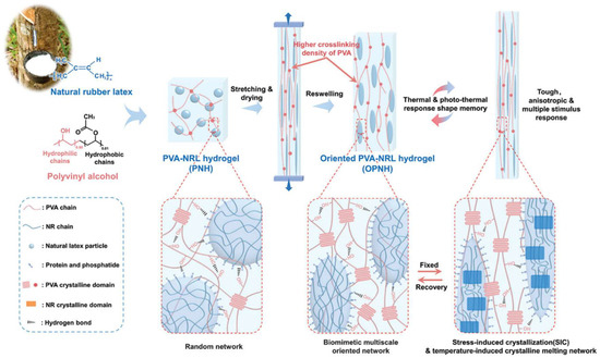 Ore Genesis of the Huanggang Iron-Tin-Polymetallic Deposit