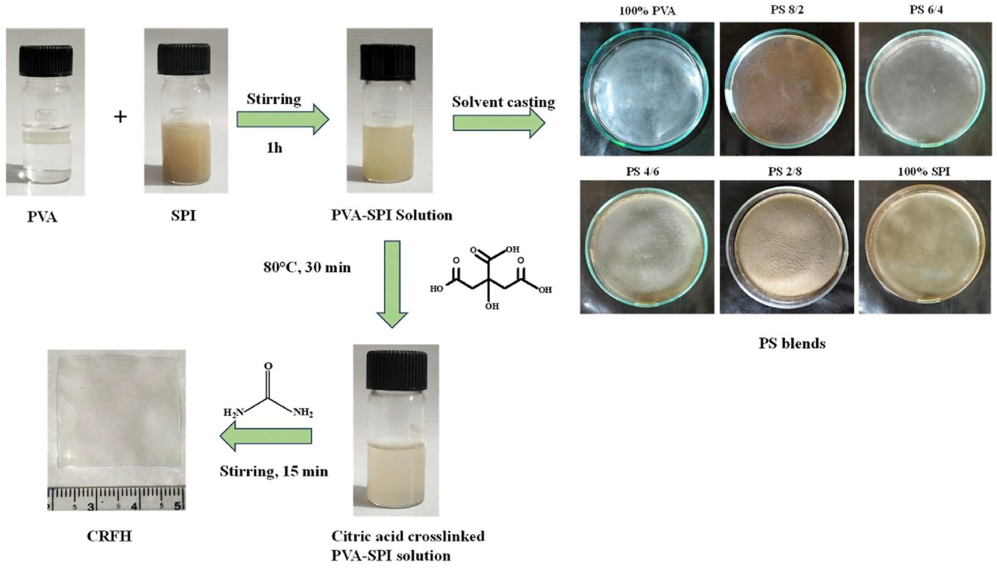 Polymers 16 02755 g008