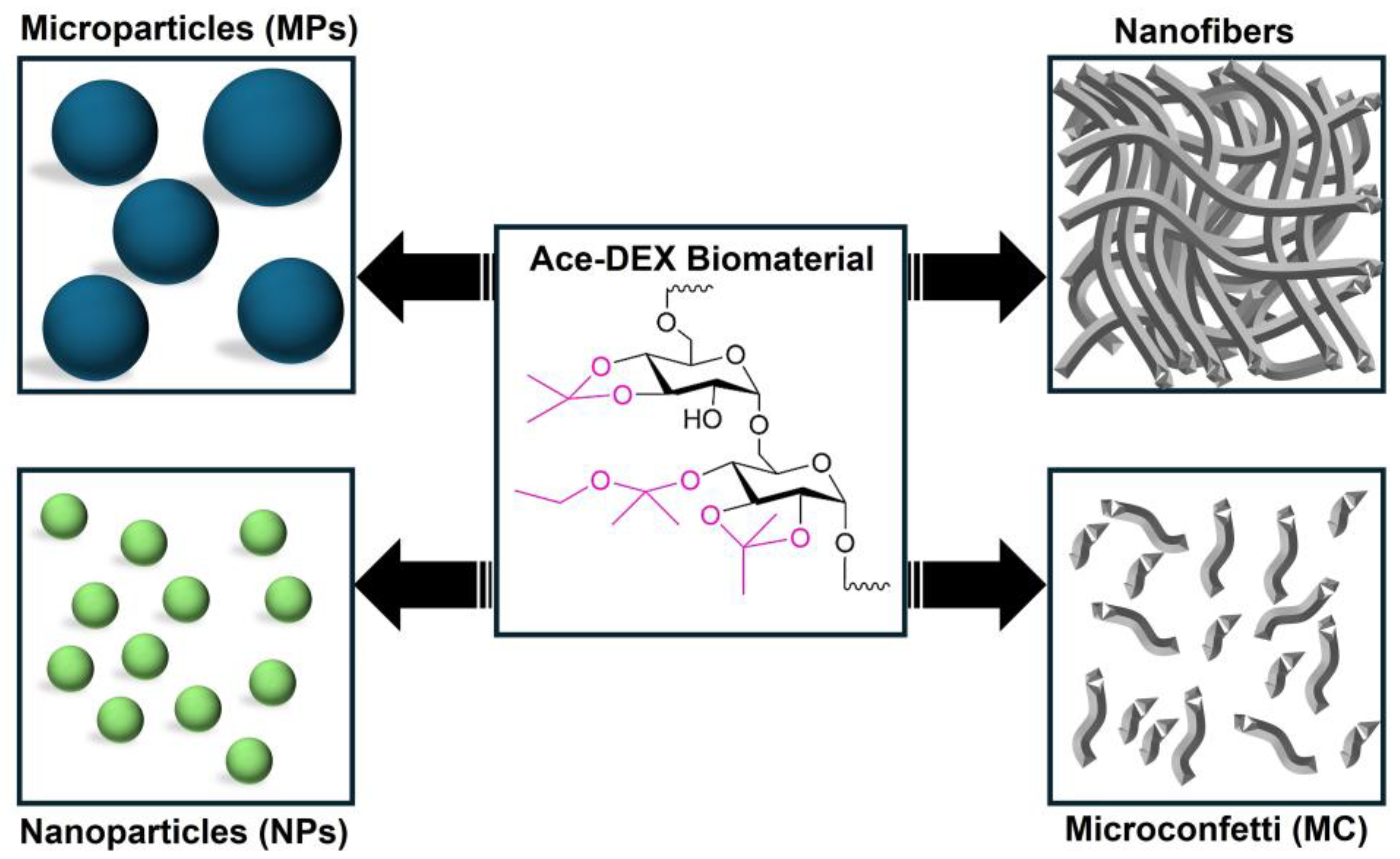 Polymers 16 02756 g002