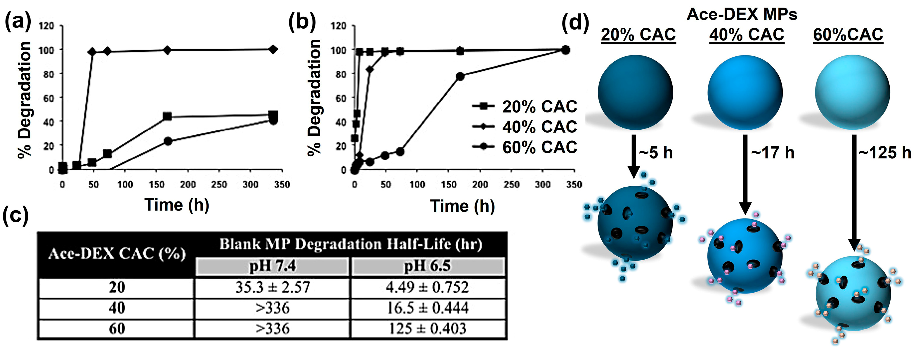 Polymers 16 02756 g003