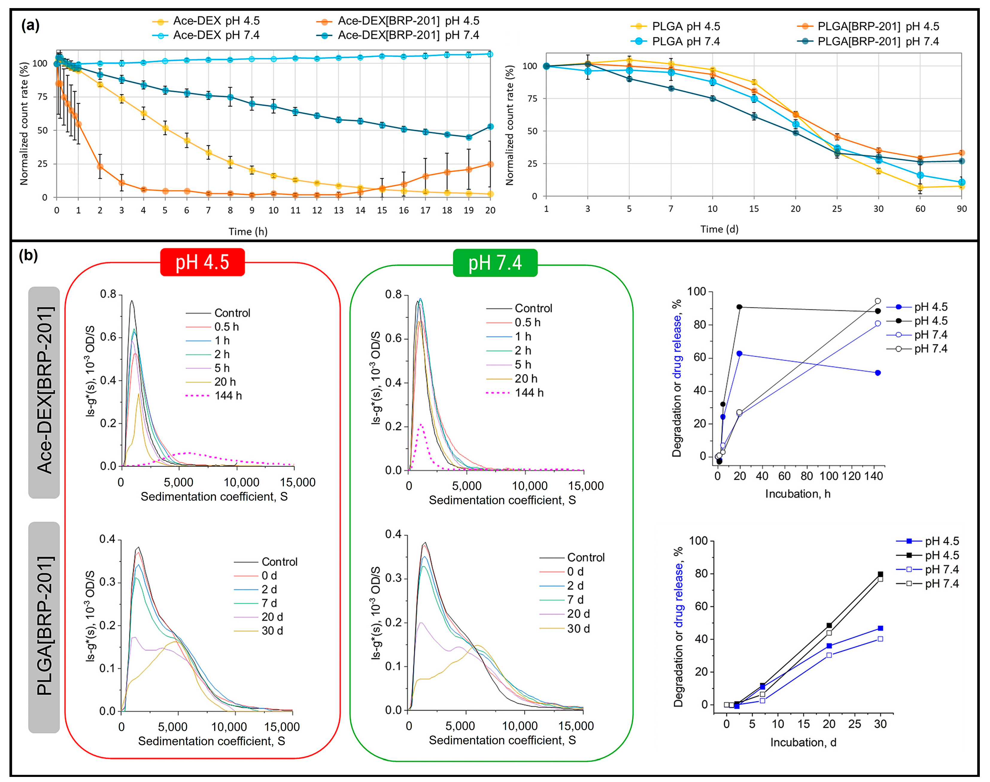 Polymers 16 02756 g005