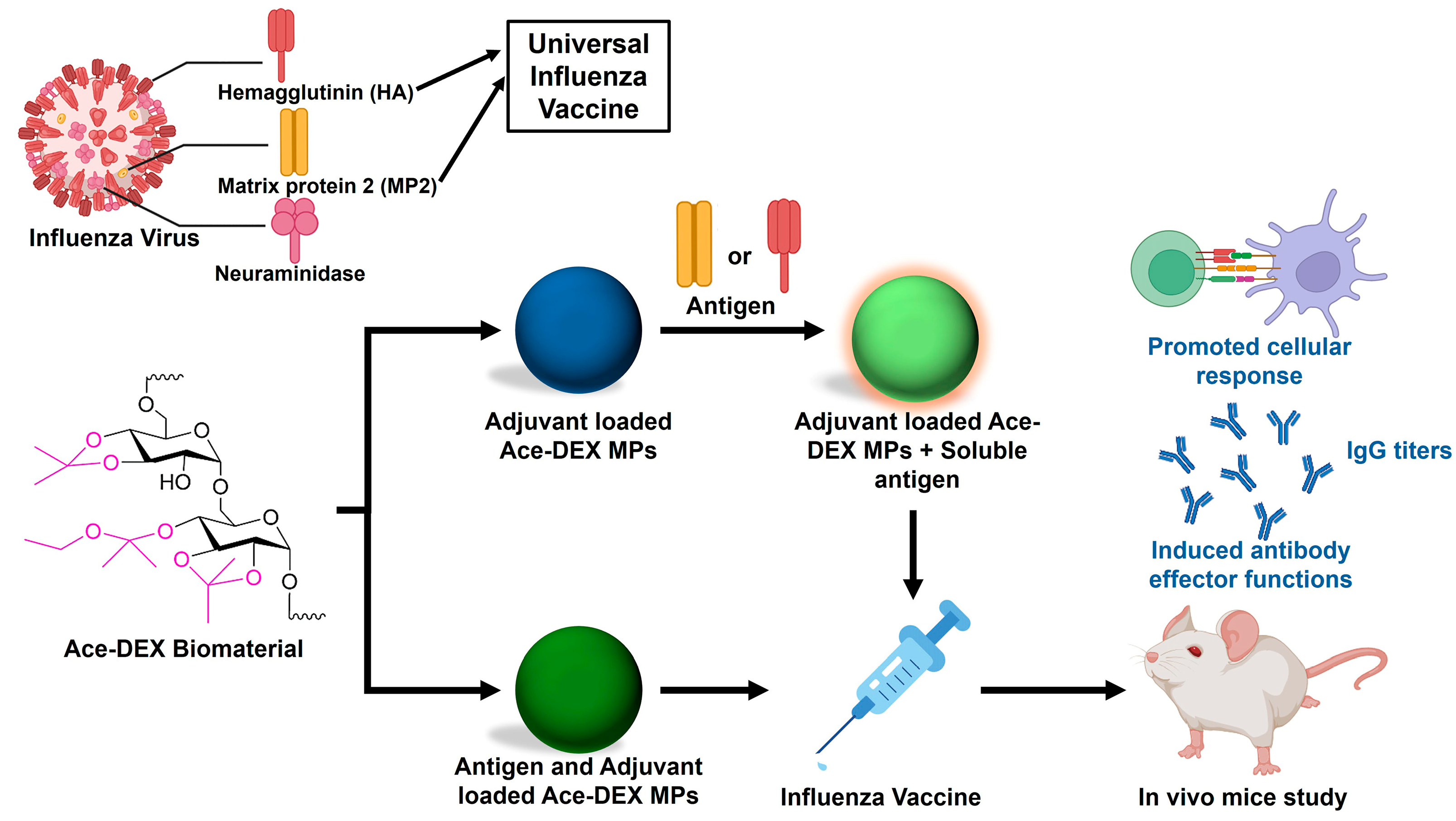 Polymers 16 02756 g006
