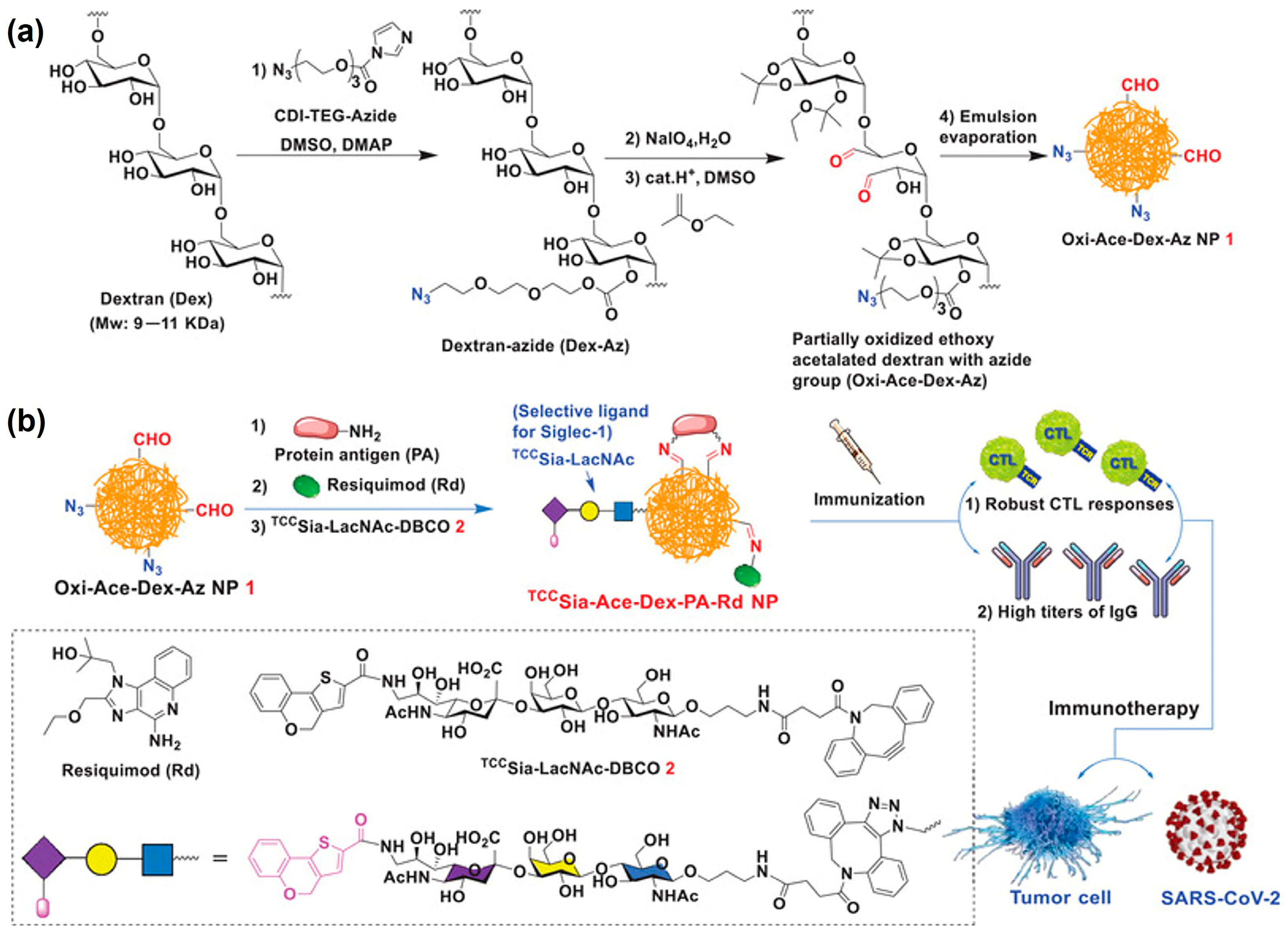 Polymers 16 02756 g007