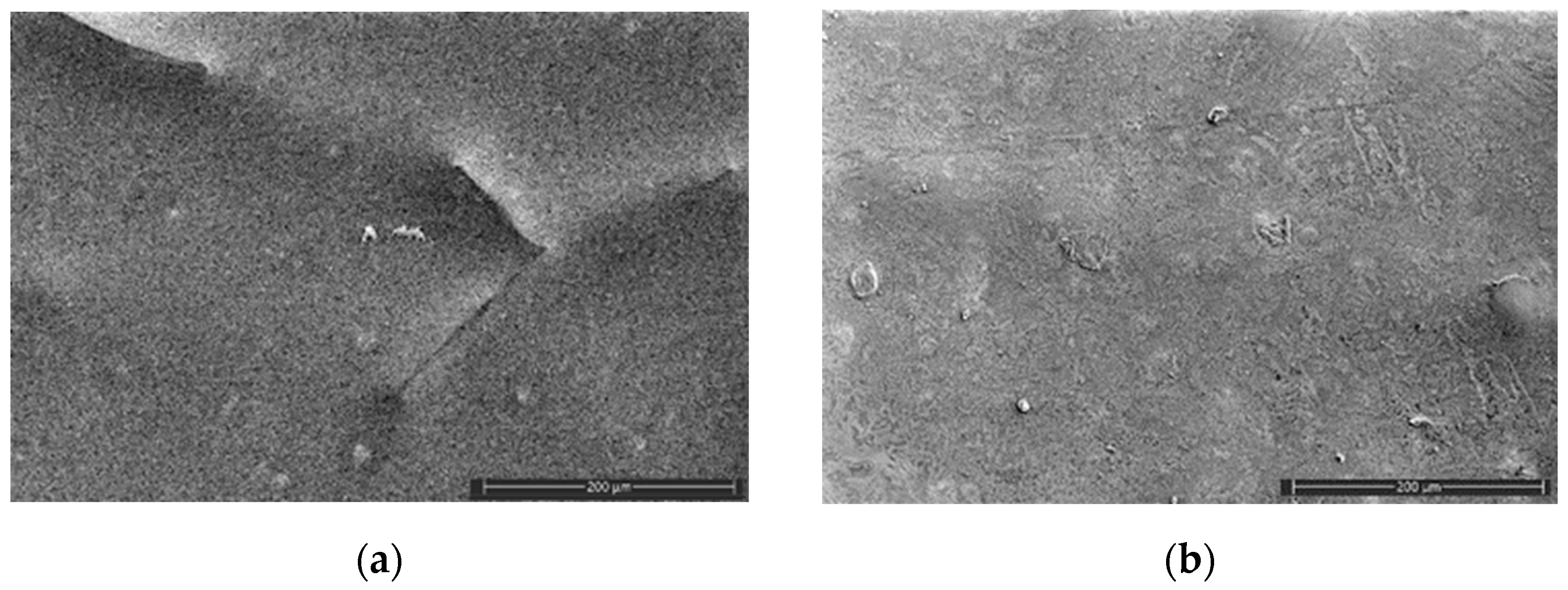 Polymers 16 02758 g005