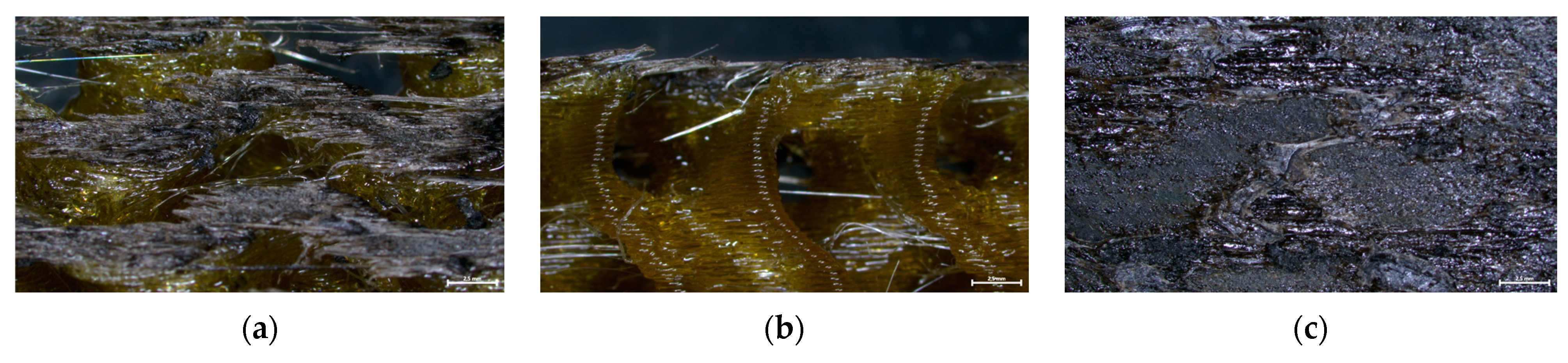 Polymers 16 02760 g018